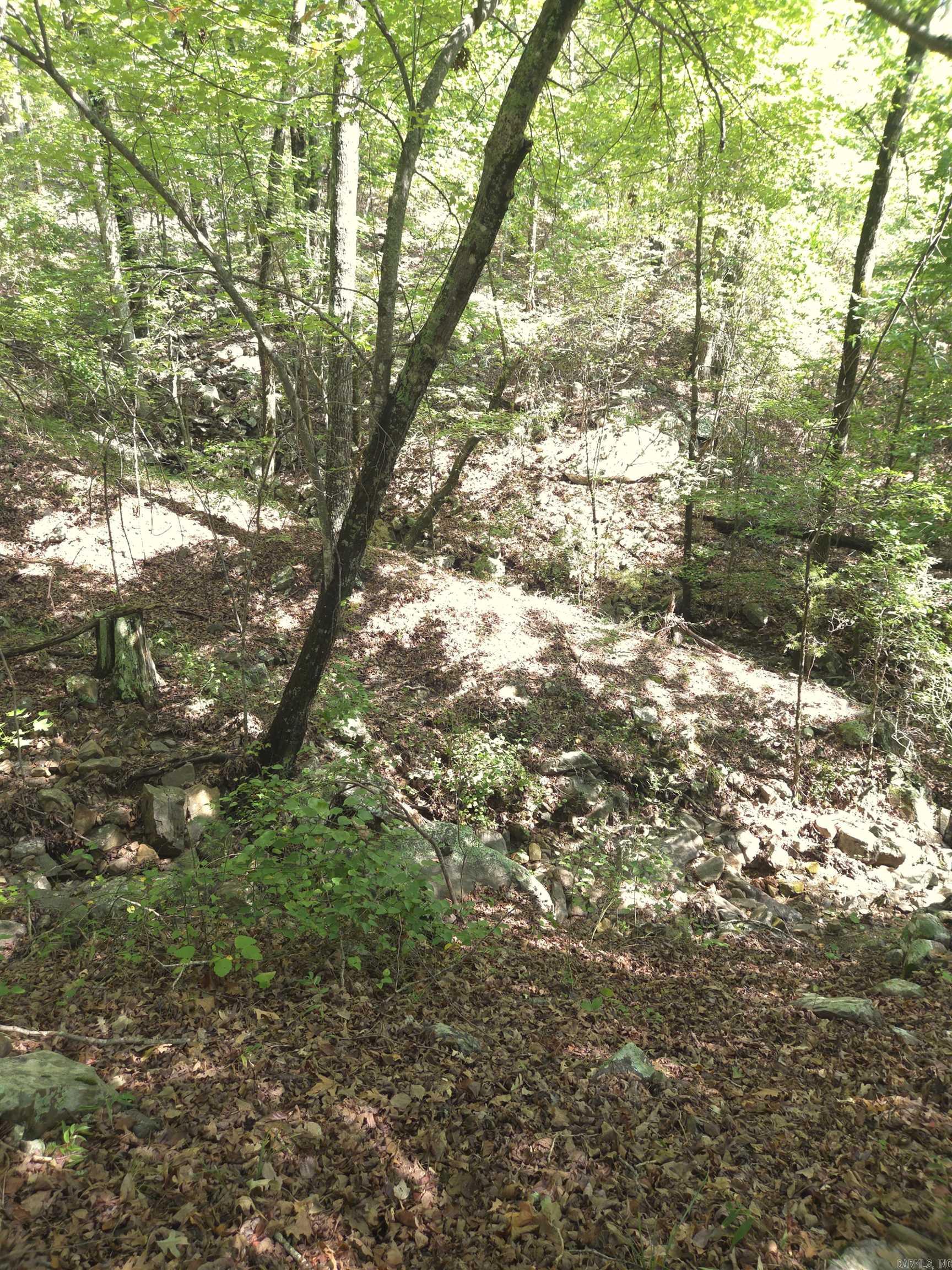 Tbd Diamond Rose Lane Property Photo 9