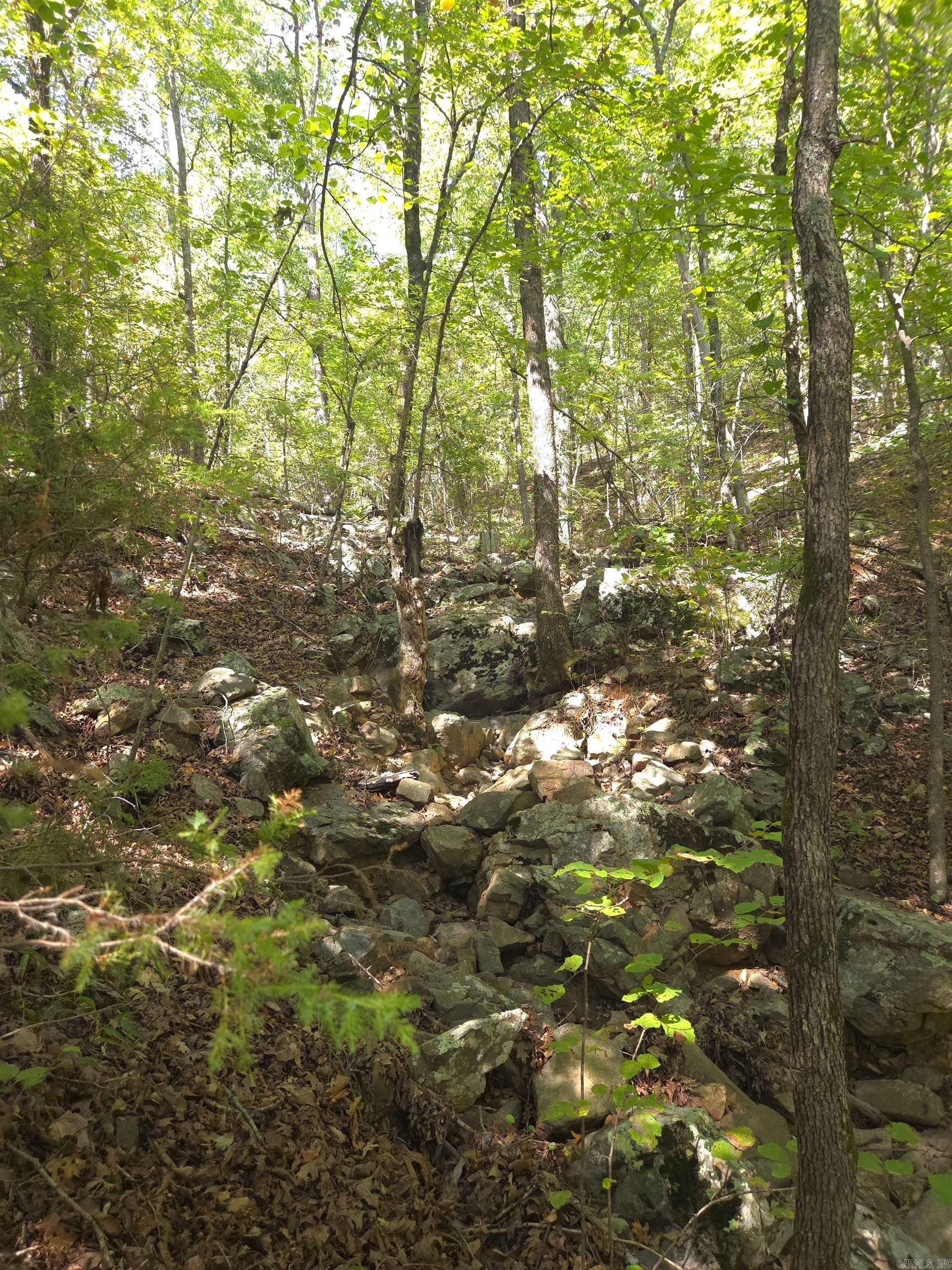 Tbd Diamond Rose Lane Property Photo 11