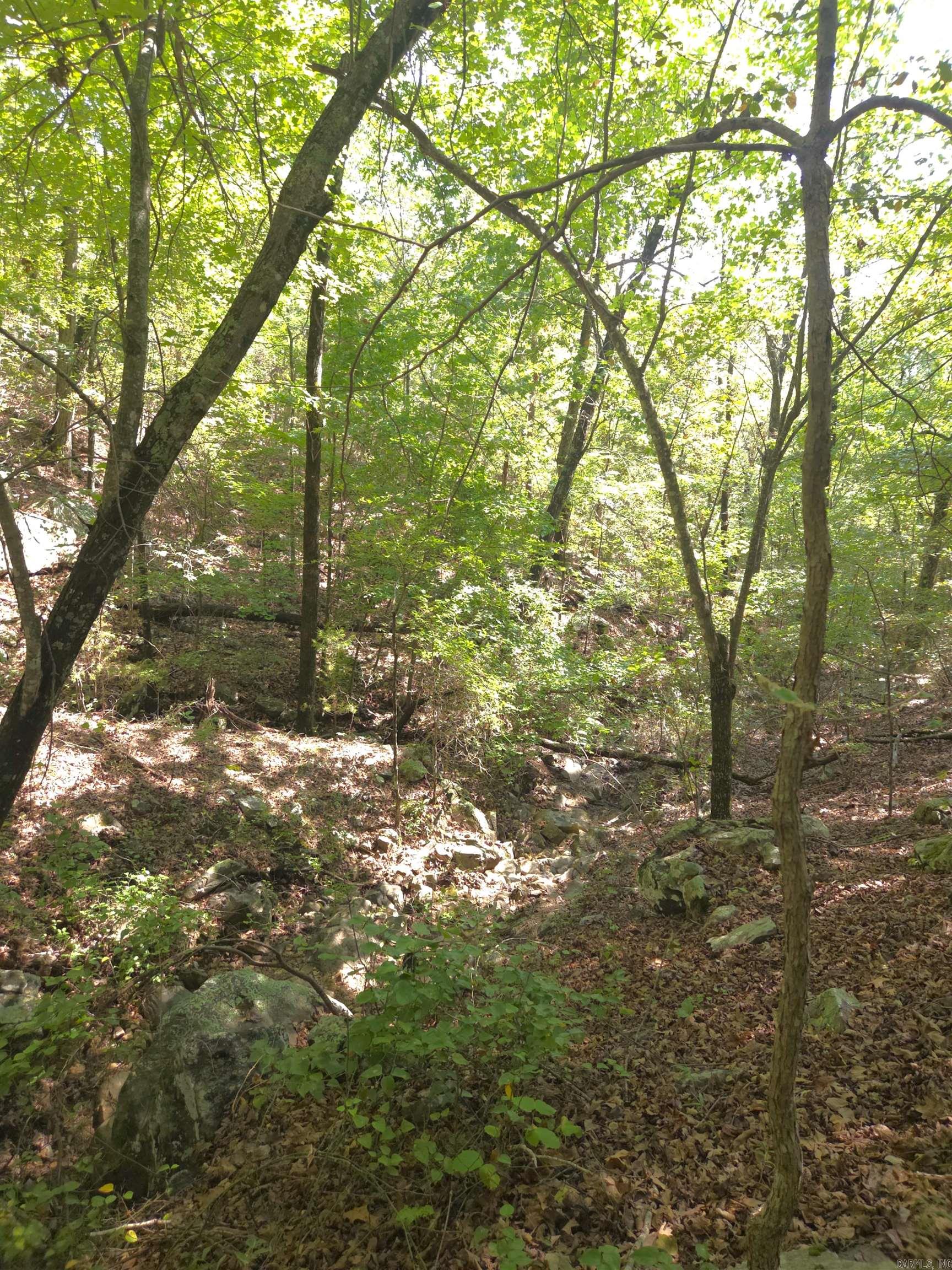 Tbd Diamond Rose Lane Property Photo 12