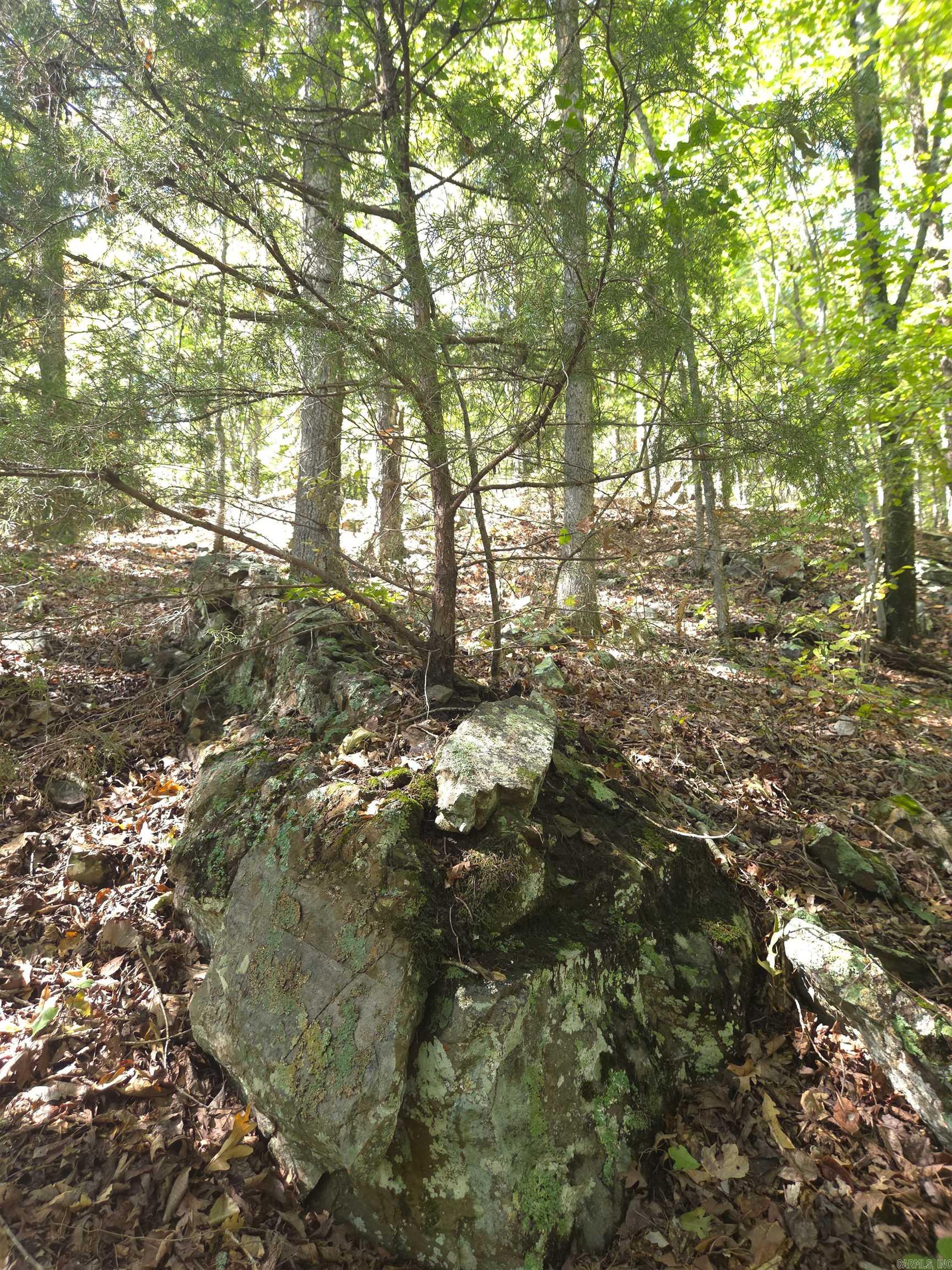 Tbd Diamond Rose Lane Property Photo 13