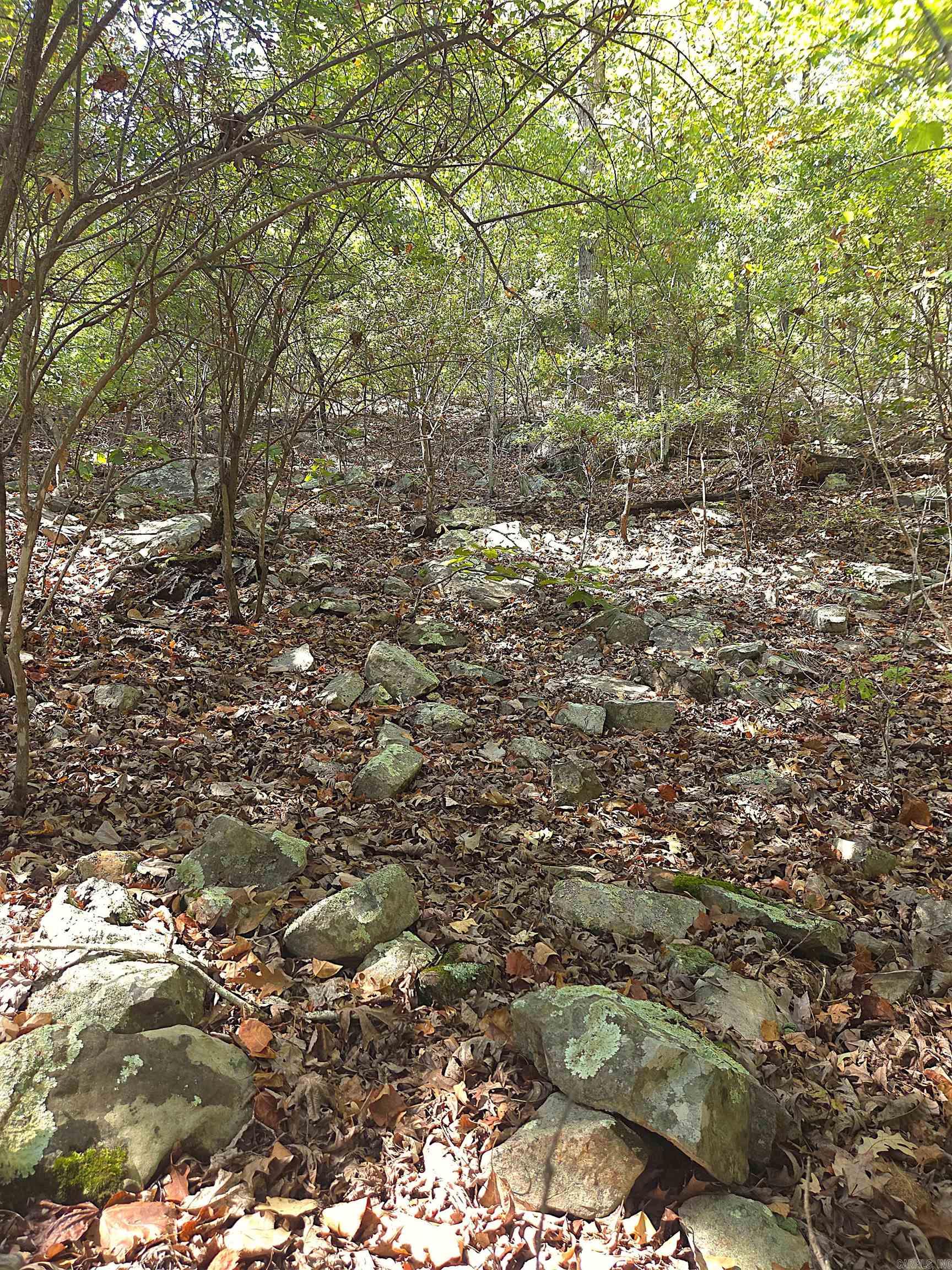 Tbd Diamond Rose Lane Property Photo 15
