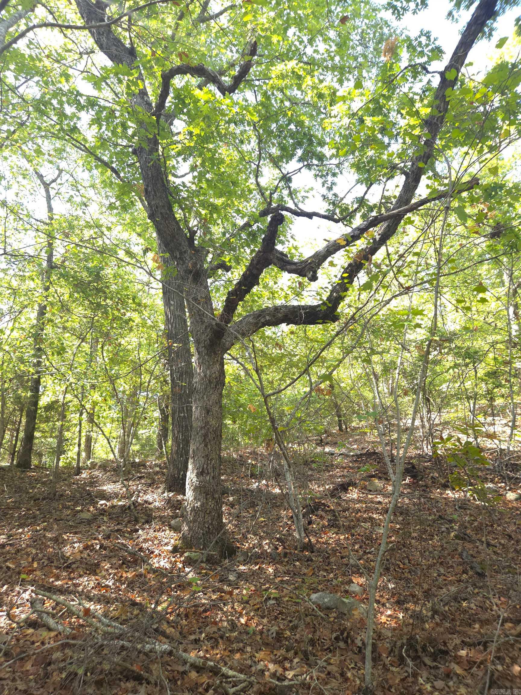 Tbd Diamond Rose Lane Property Photo 16