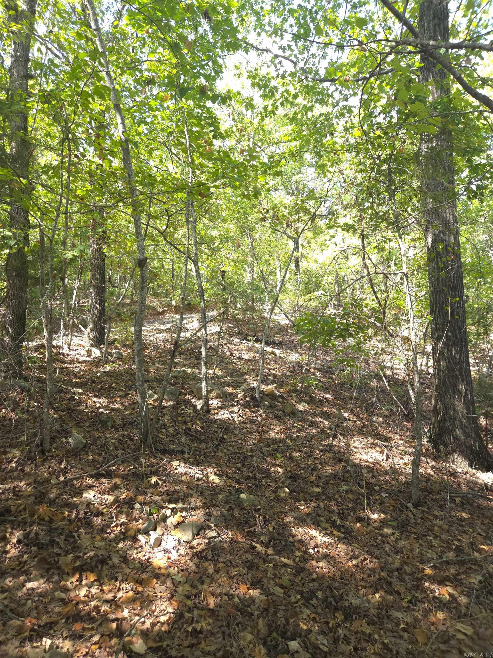 Tbd Diamond Rose Lane Property Photo 17