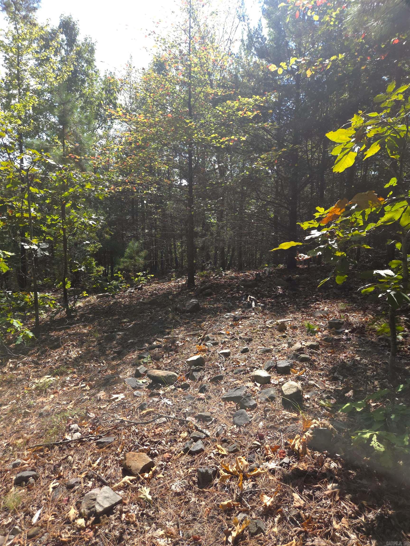 Tbd Diamond Rose Lane Property Photo 18