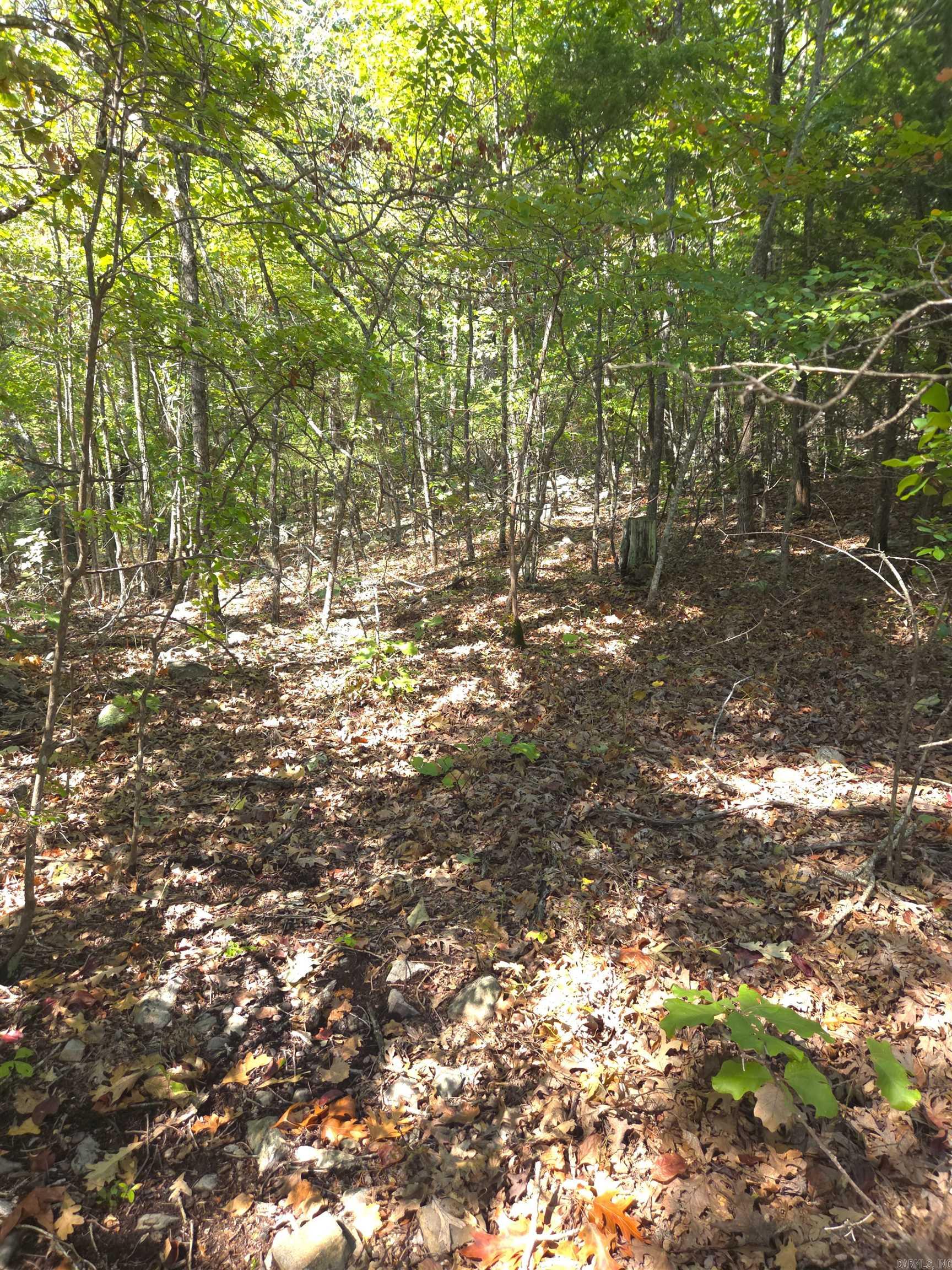 Tbd Diamond Rose Lane Property Photo 19