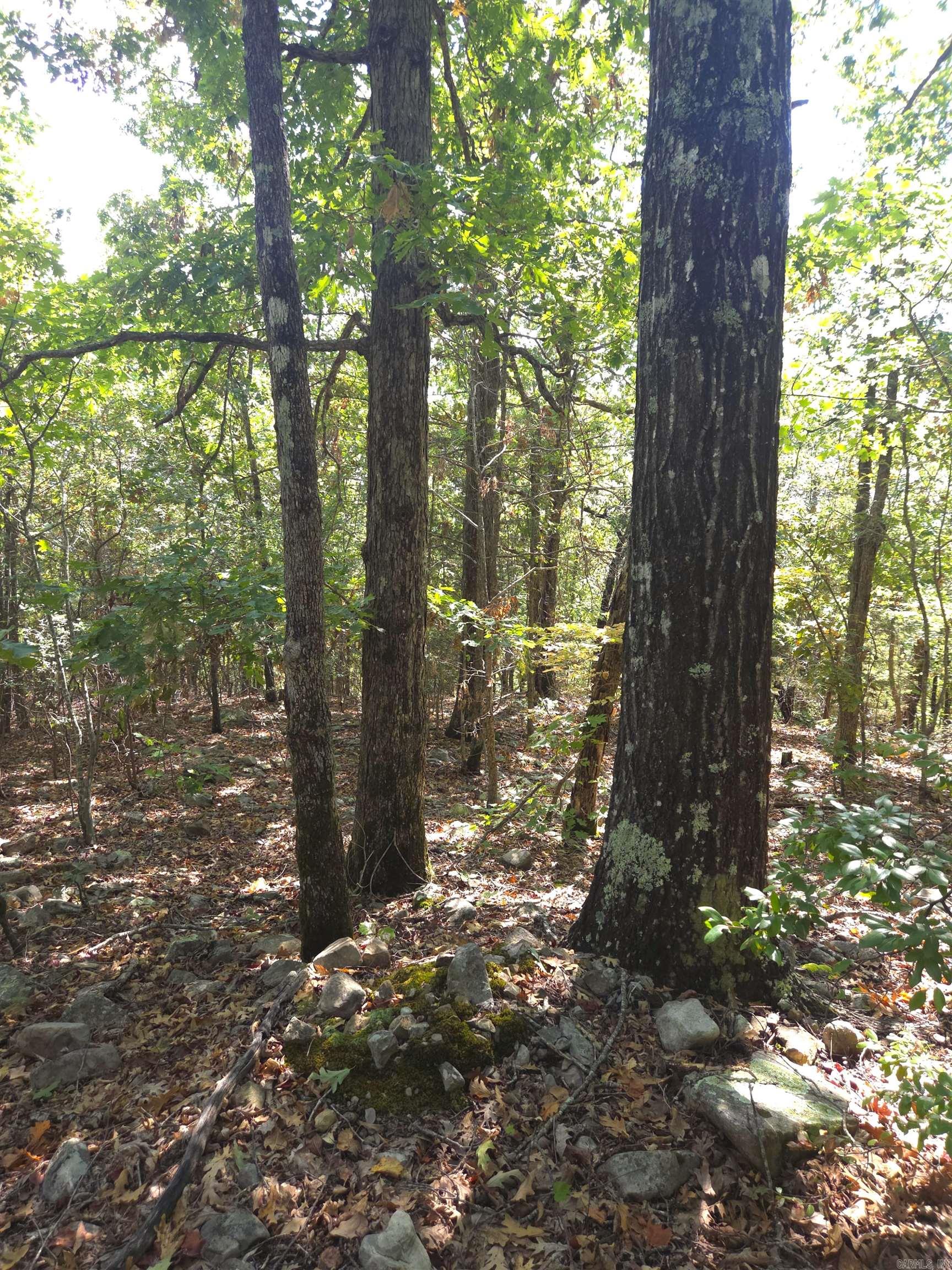Tbd Diamond Rose Lane Property Photo 20