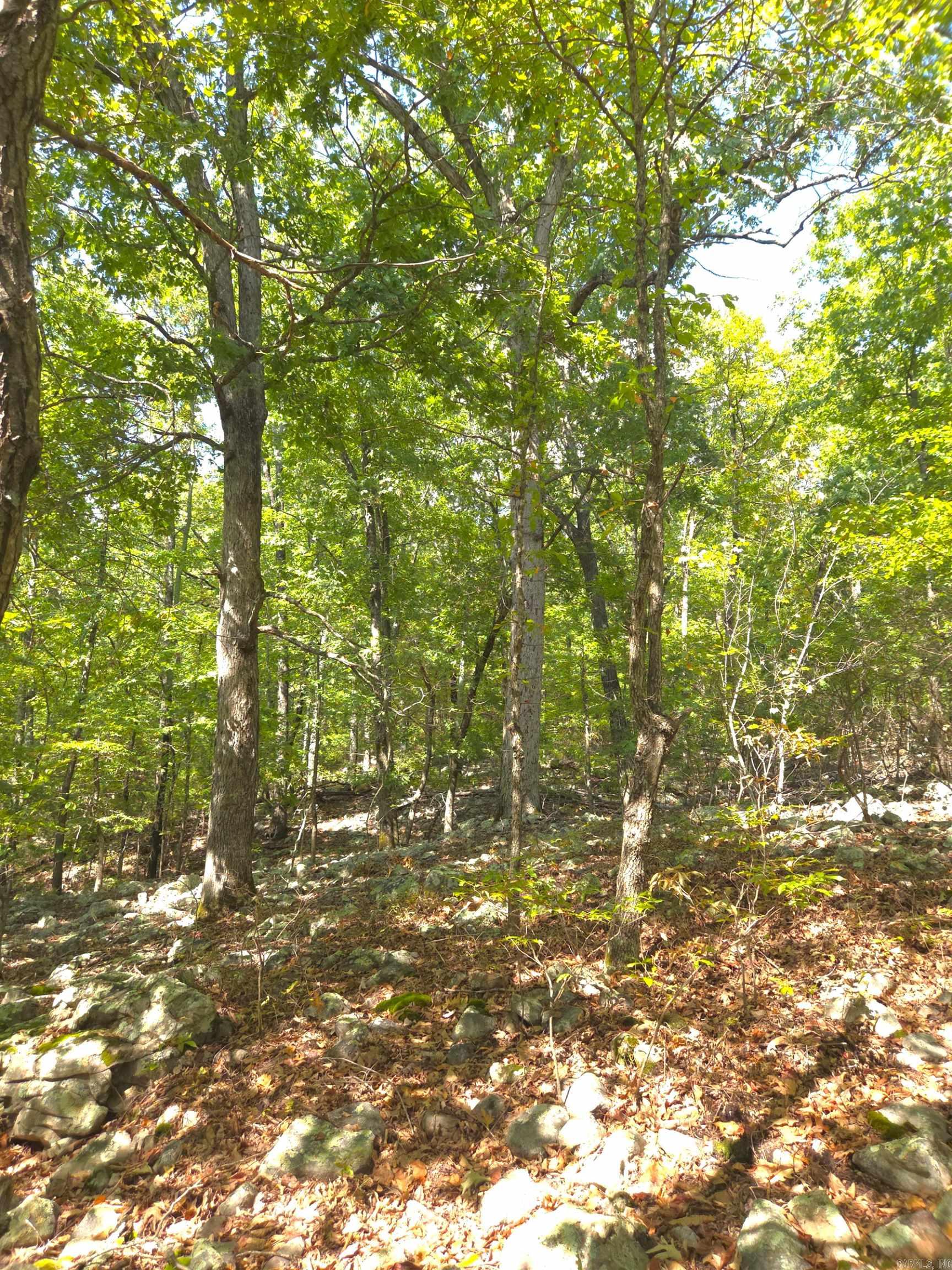 Tbd Diamond Rose Lane Property Photo 21