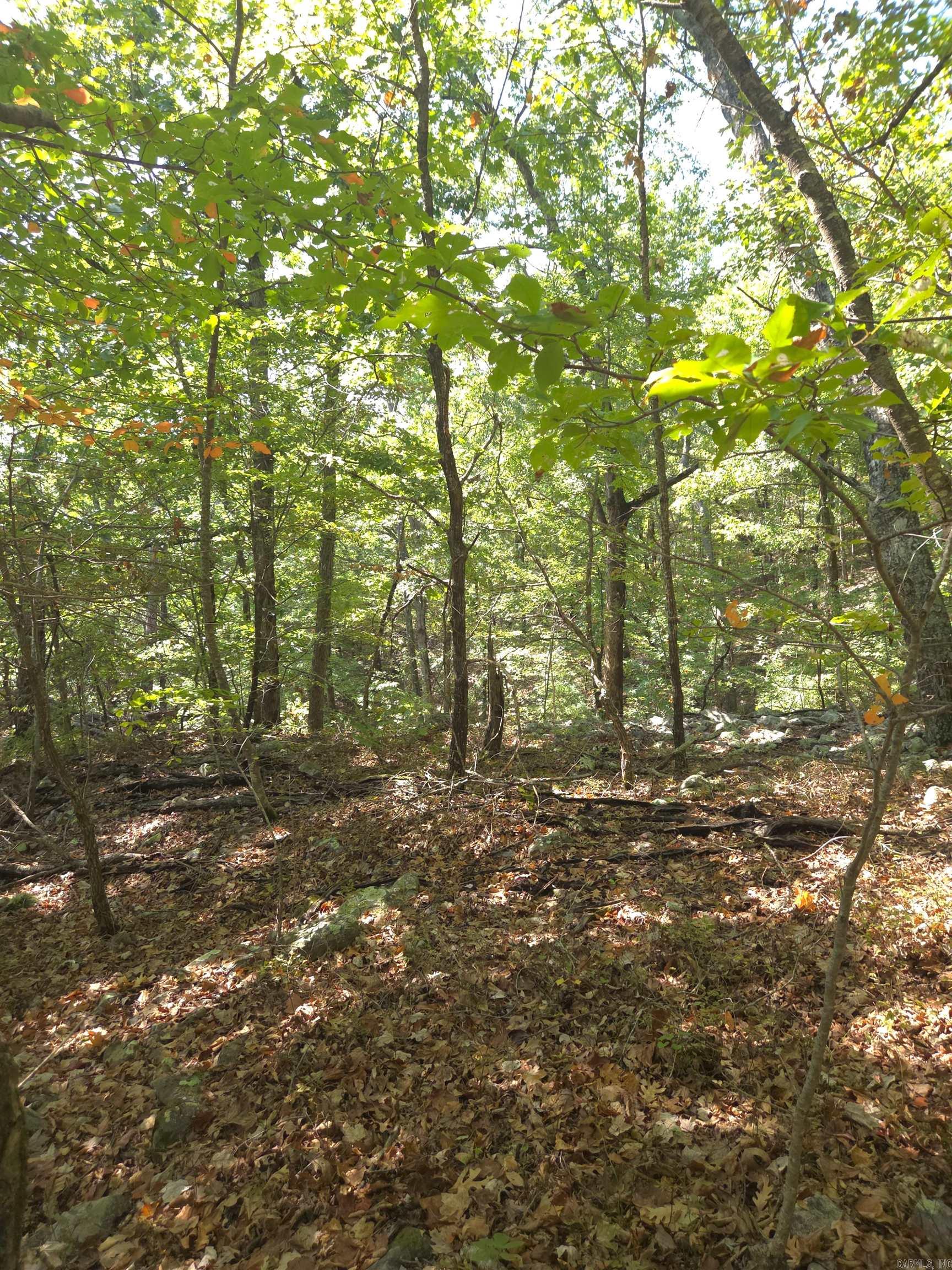 Tbd Diamond Rose Lane Property Photo 22