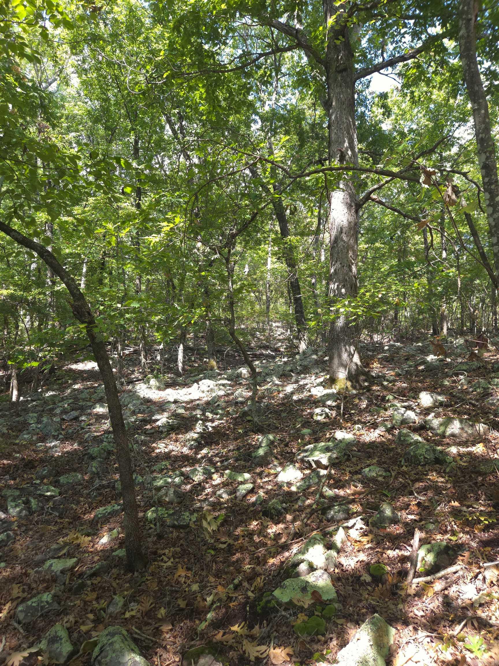 Tbd Diamond Rose Lane Property Photo 23
