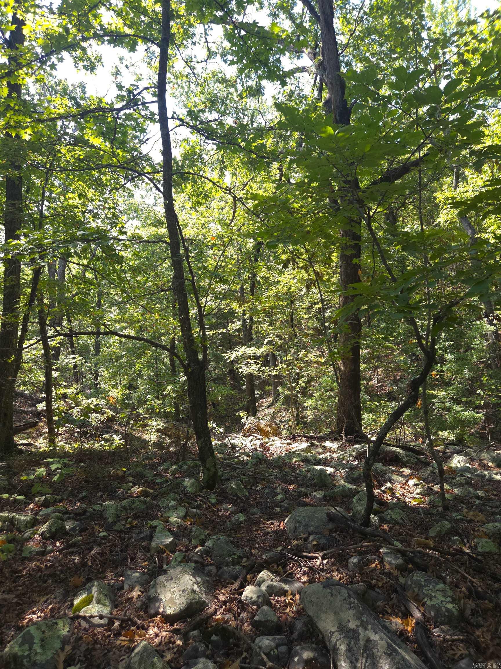 Tbd Diamond Rose Lane Property Photo 24