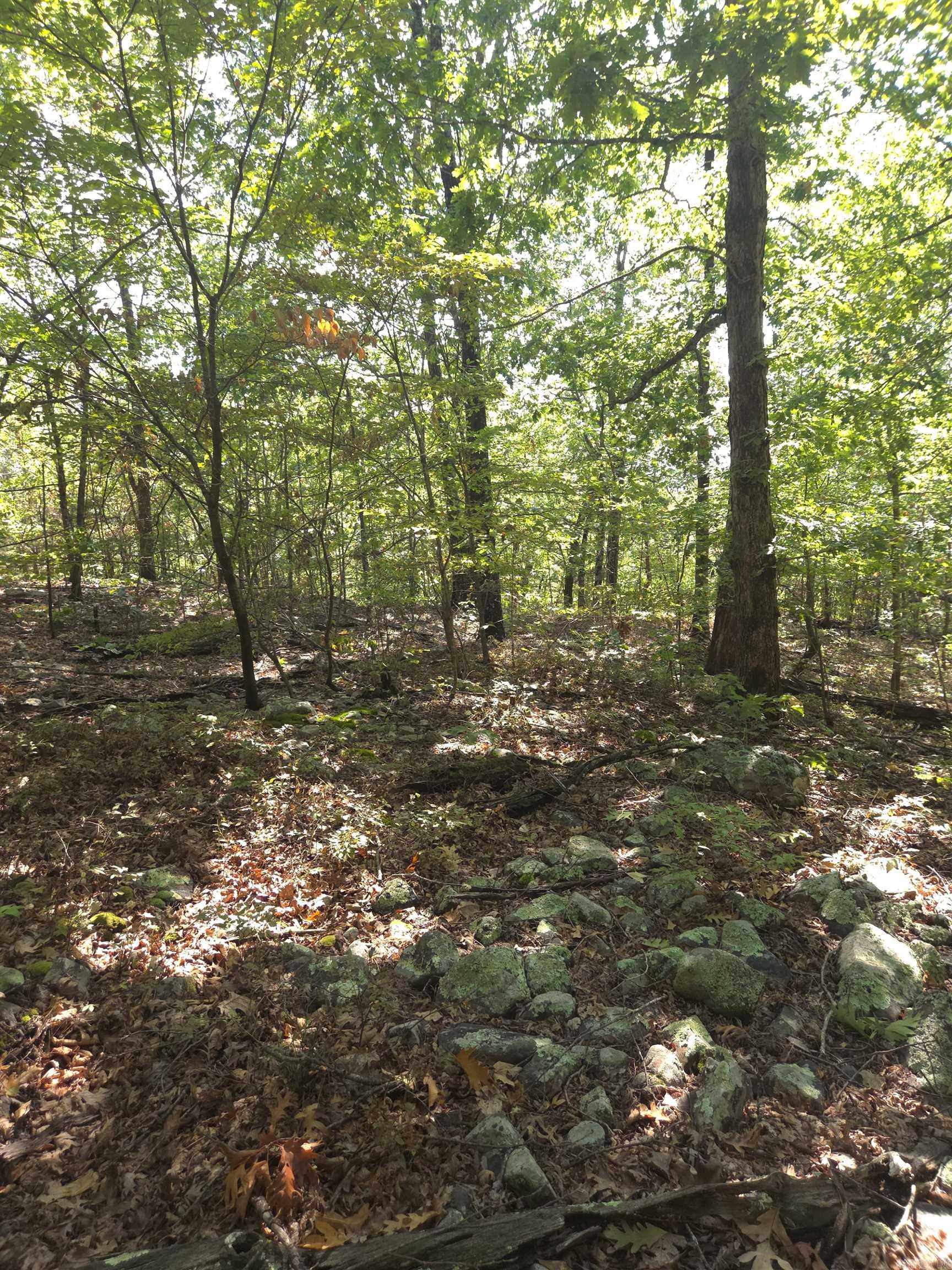 Tbd Diamond Rose Lane Property Photo 25