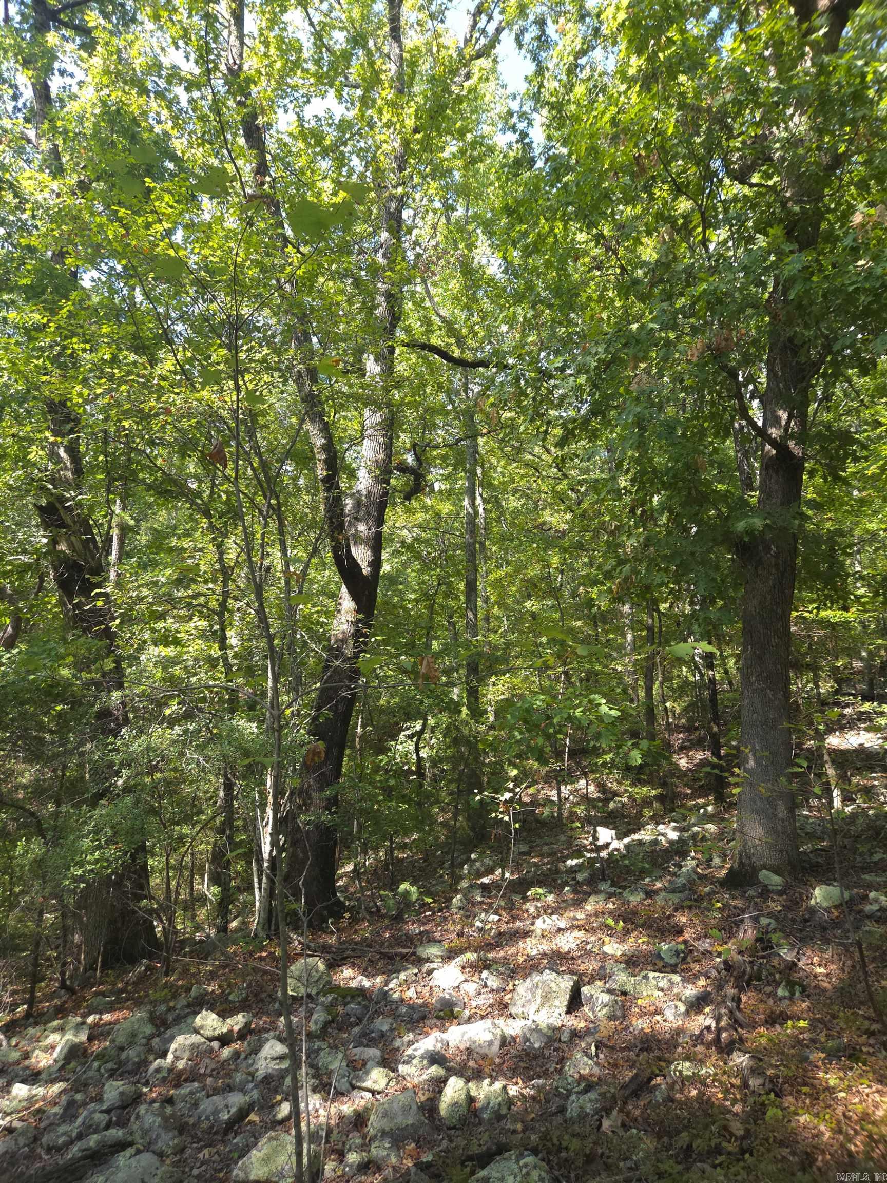 Tbd Diamond Rose Lane Property Photo 26