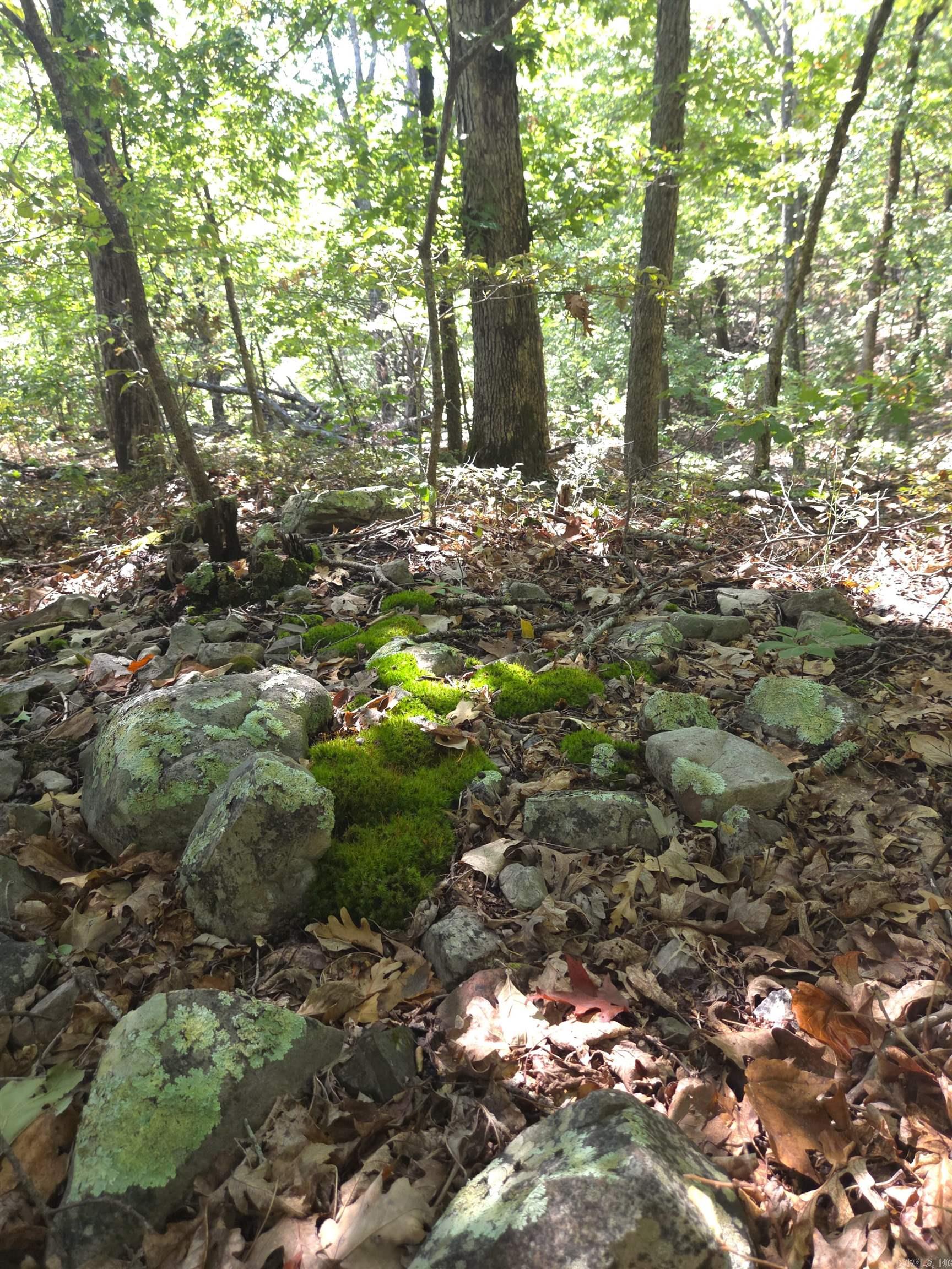 Tbd Diamond Rose Lane Property Photo 27