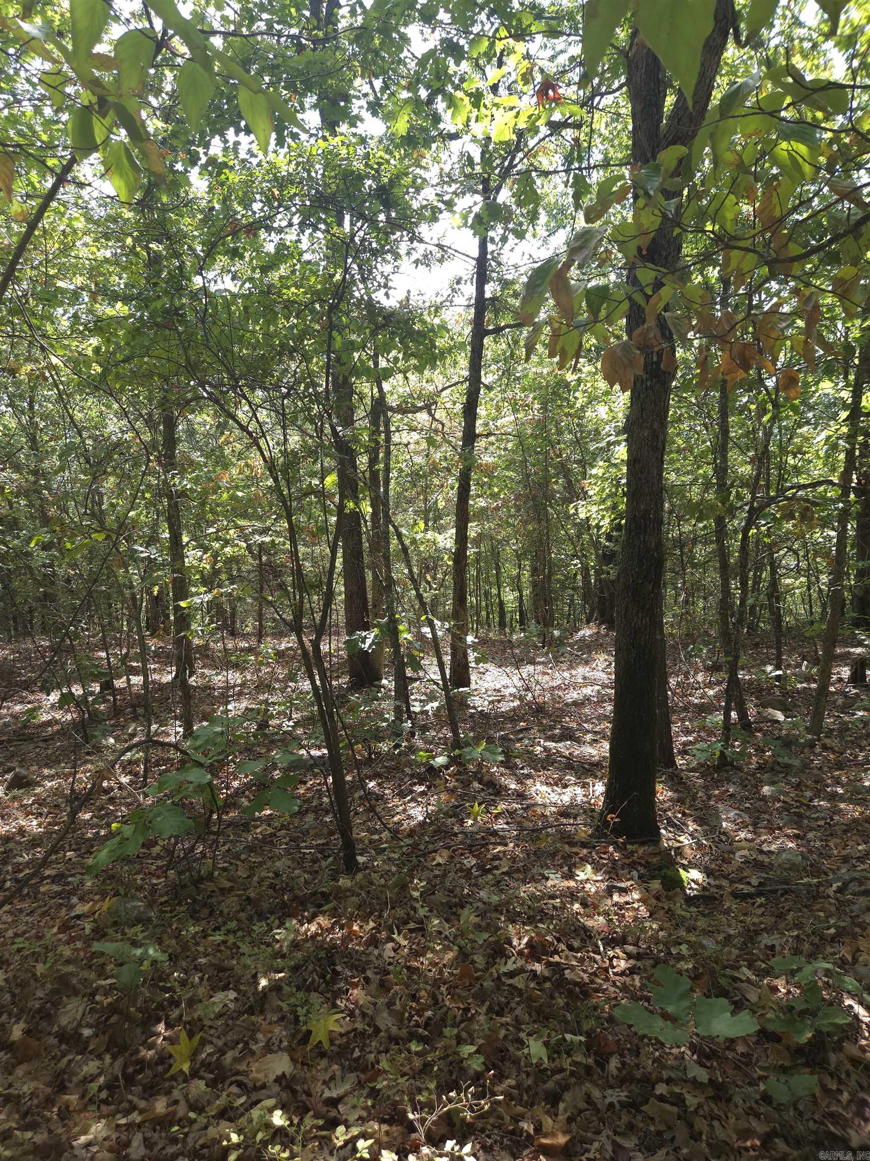 Tbd Diamond Rose Lane Property Photo 28