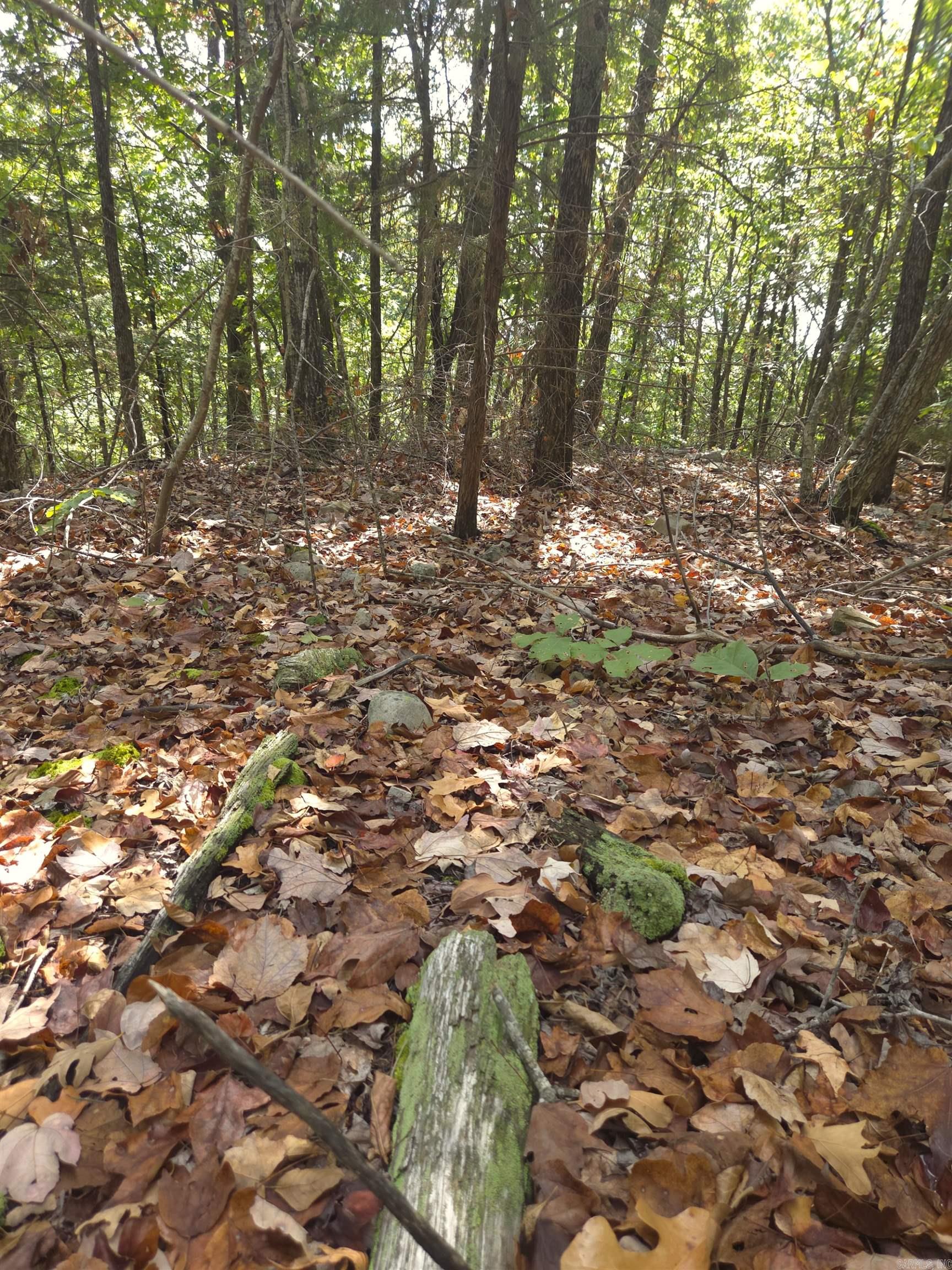 Tbd Diamond Rose Lane Property Photo 30