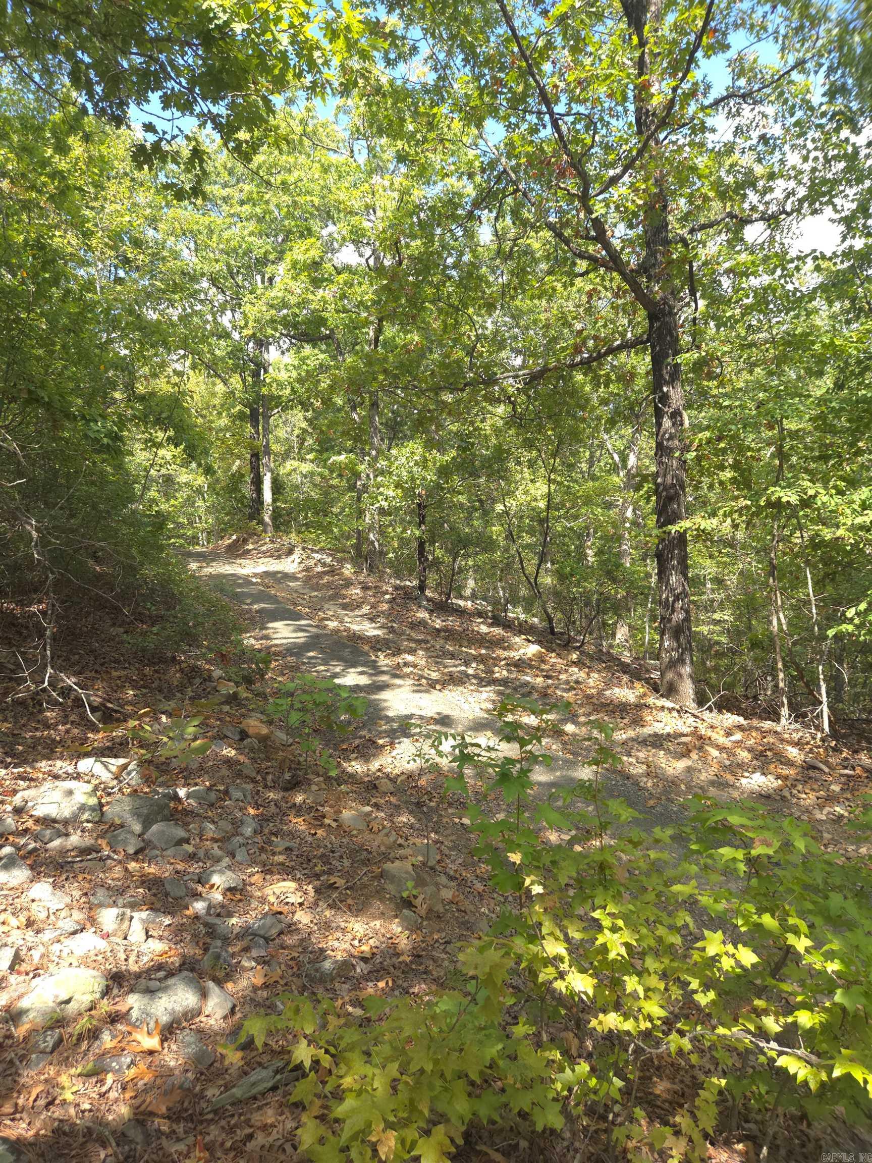 Tbd Diamond Rose Lane Property Photo 31