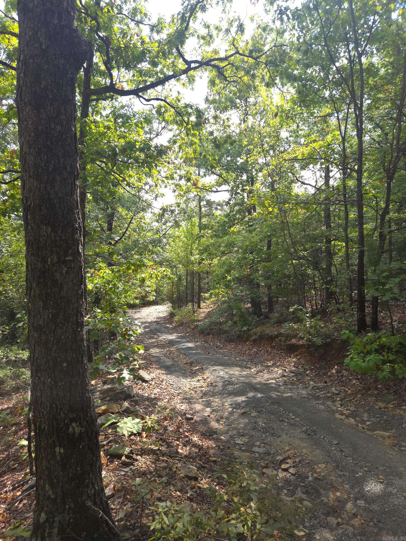Tbd Diamond Rose Lane Property Photo 32