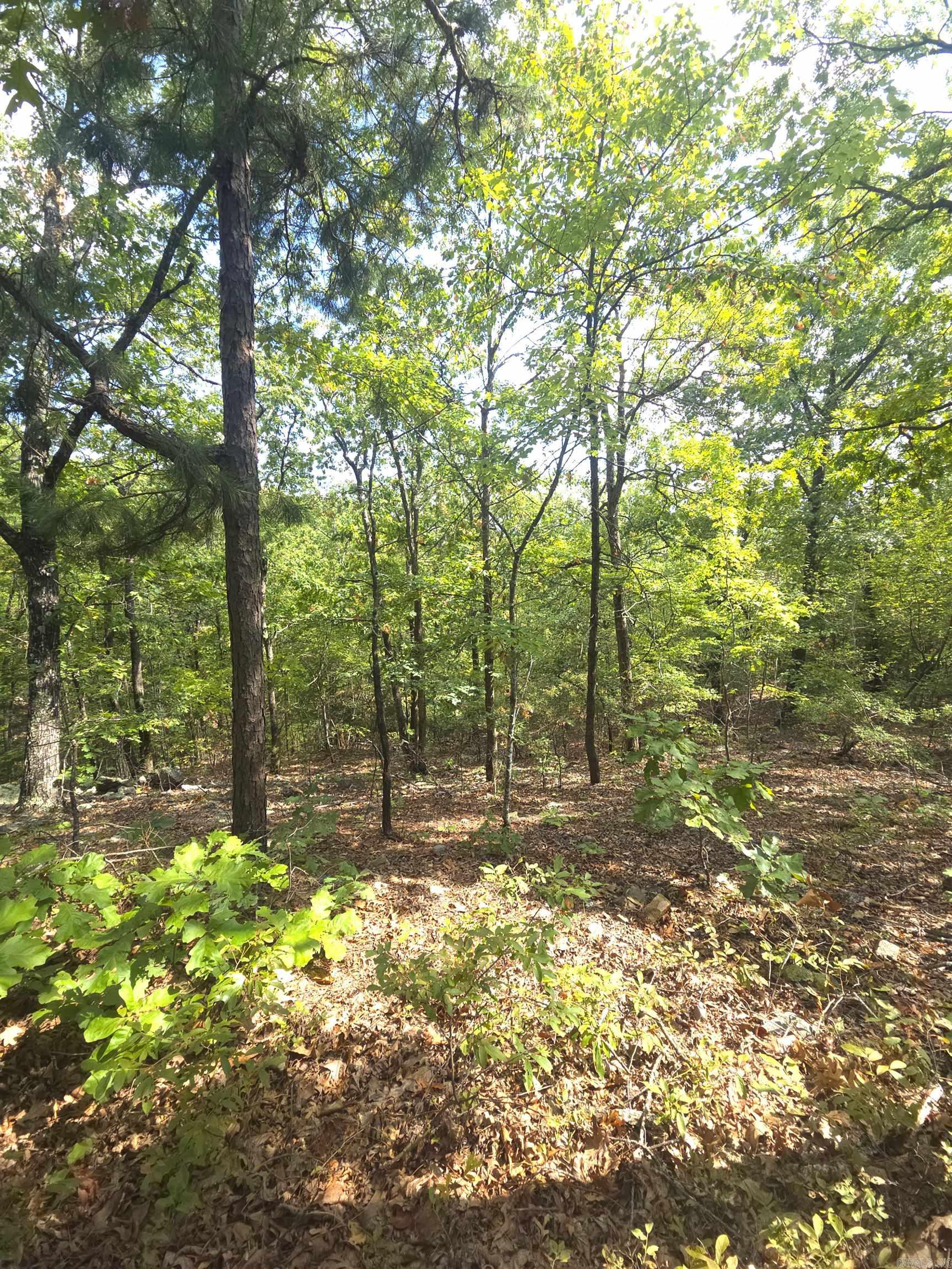 Tbd Diamond Rose Lane Property Photo 33