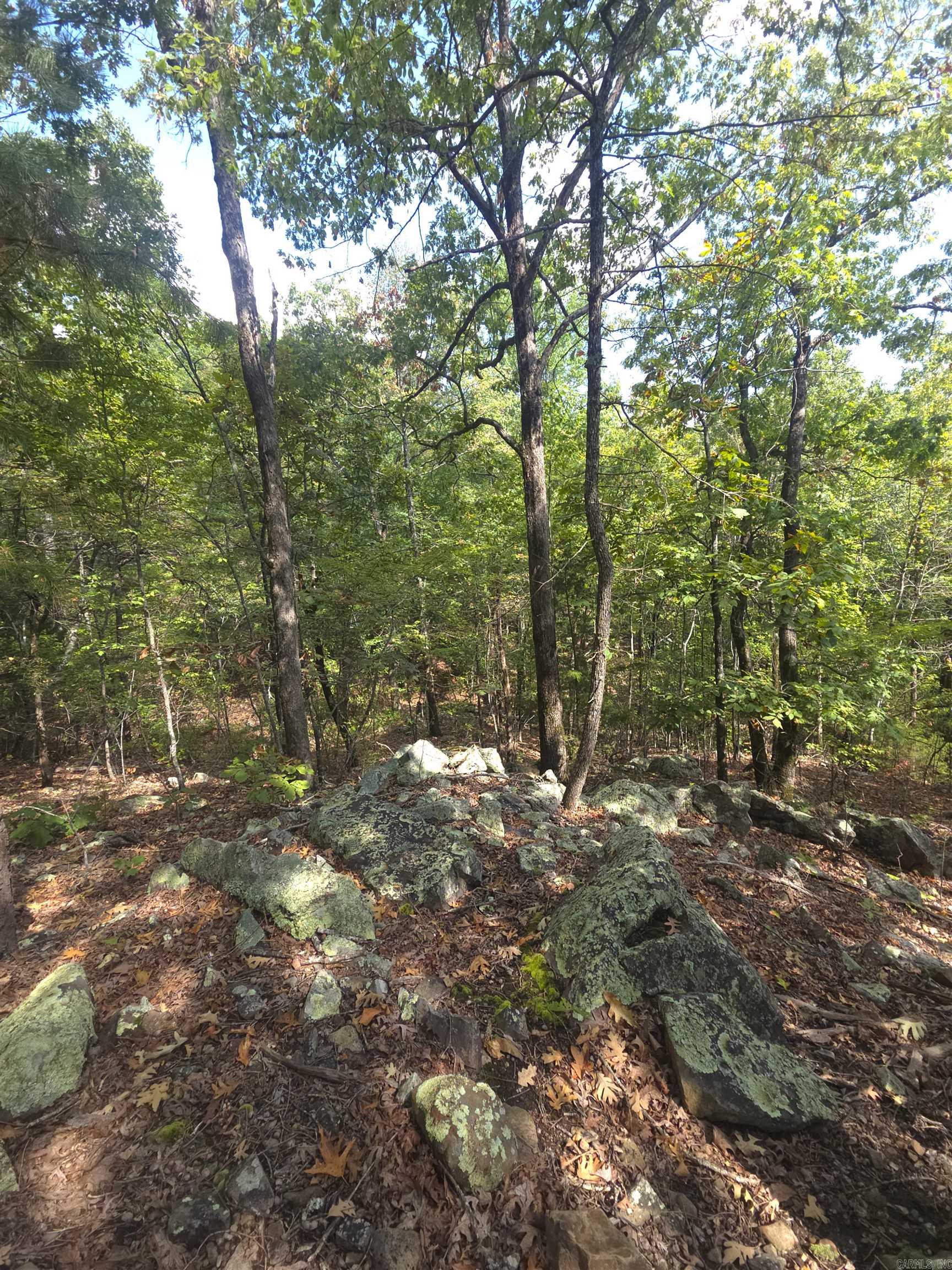 Tbd Diamond Rose Lane Property Photo 34