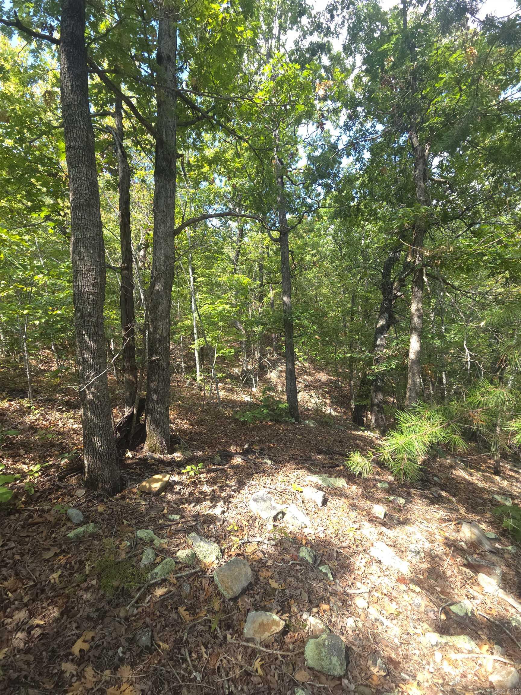 Tbd Diamond Rose Lane Property Photo 35