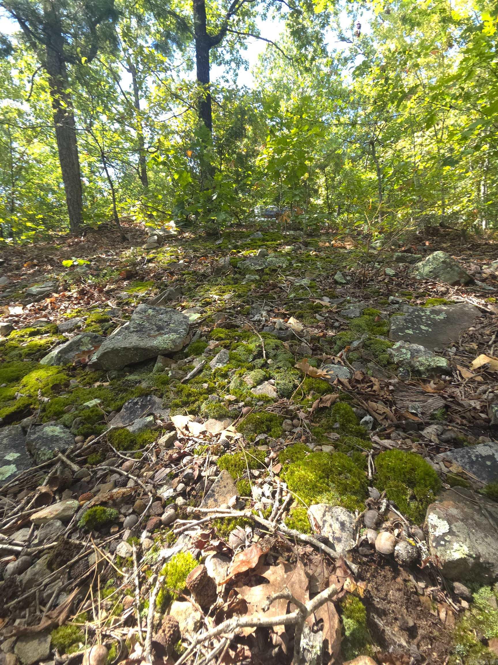 Tbd Diamond Rose Lane Property Photo 36