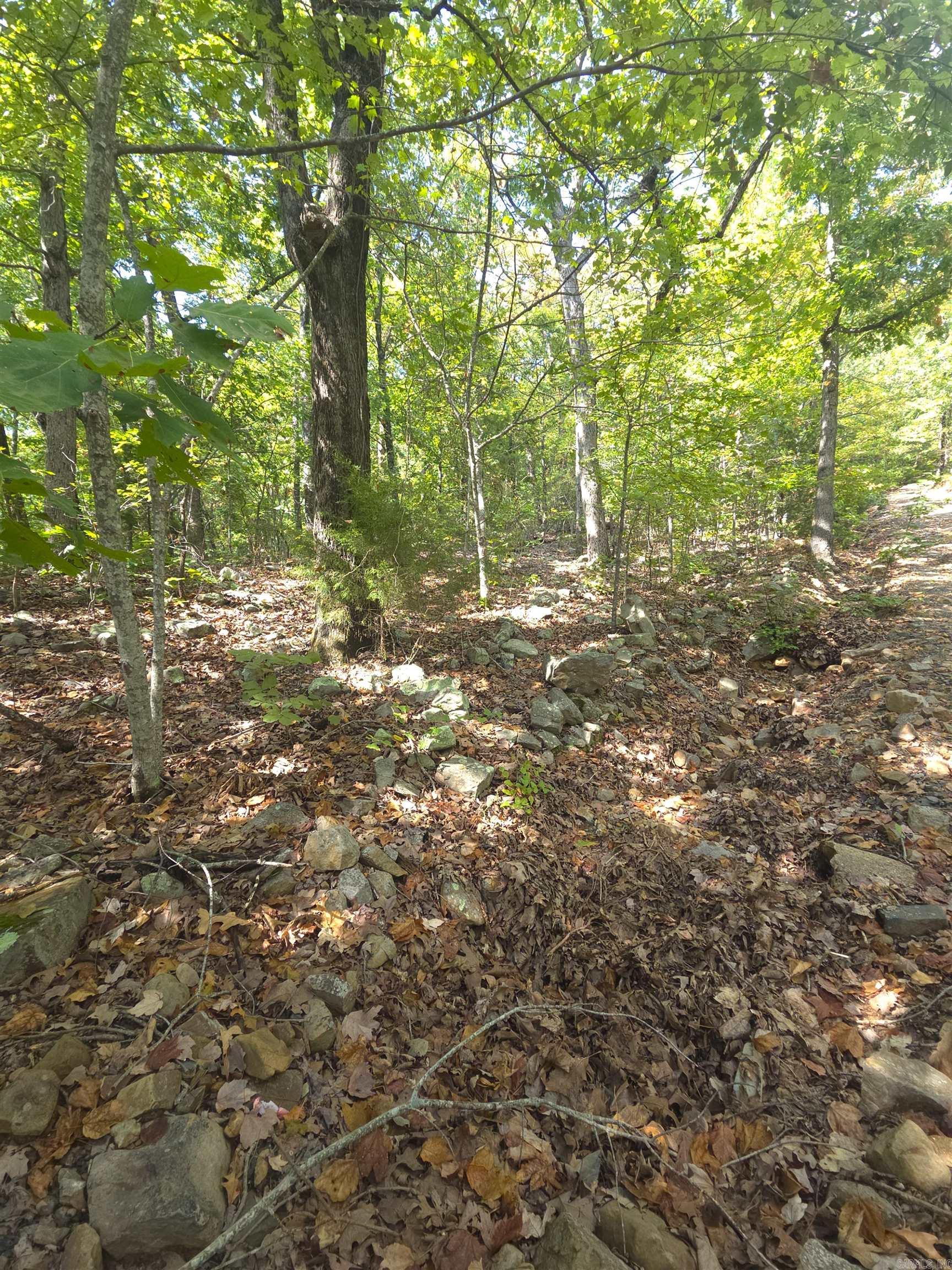 Tbd Diamond Rose Lane Property Photo 37