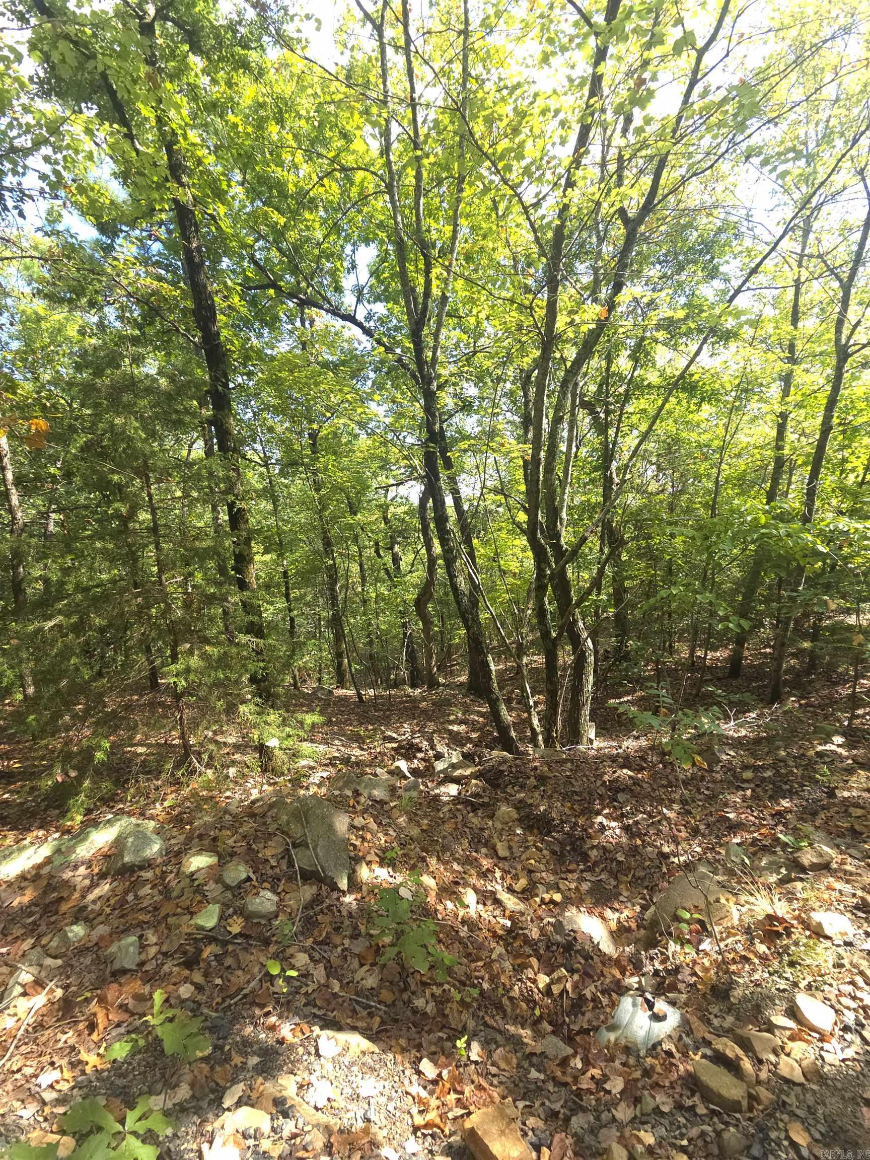 Tbd Diamond Rose Lane Property Photo 38