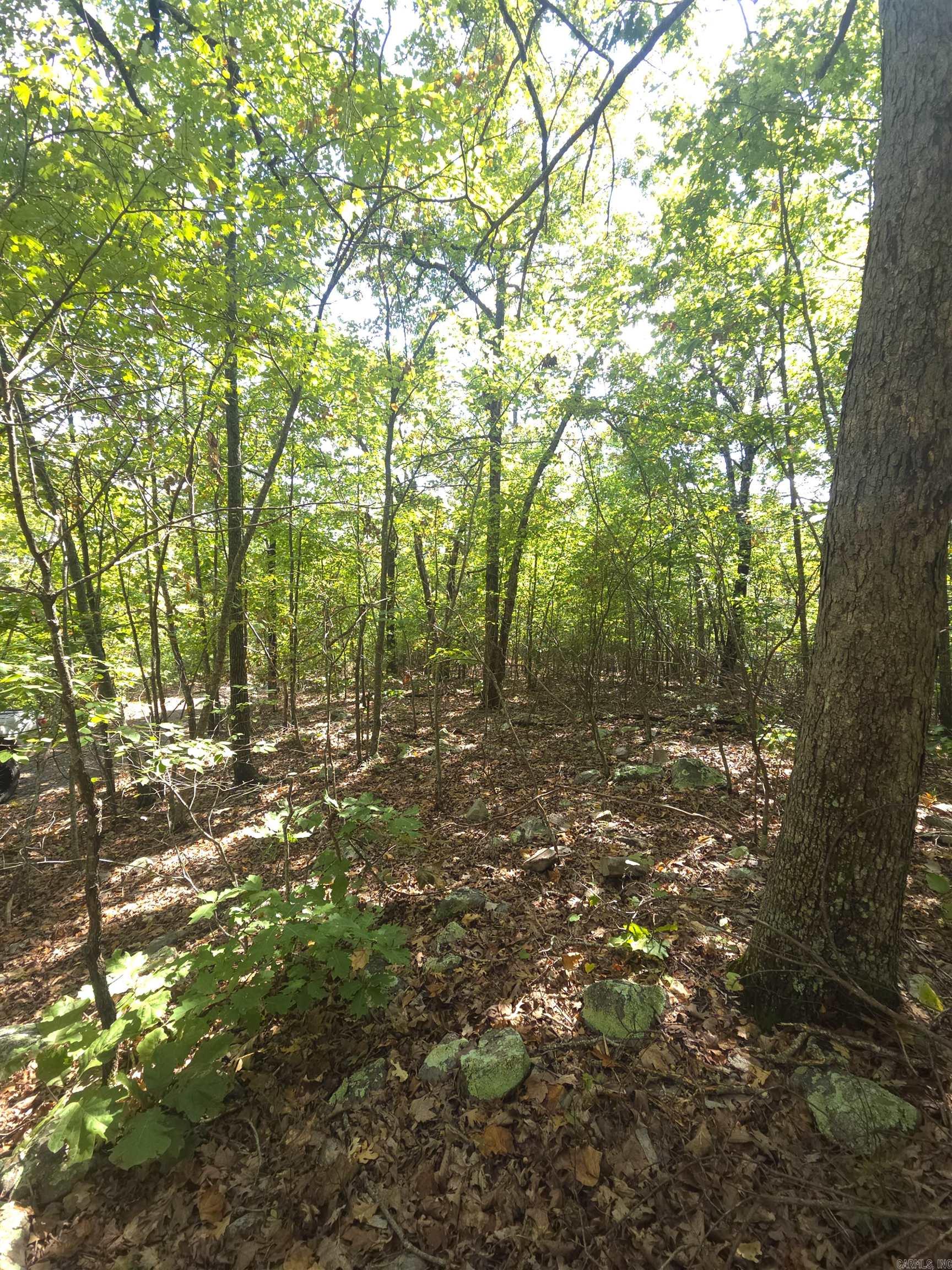 Tbd Diamond Rose Lane Property Photo 39