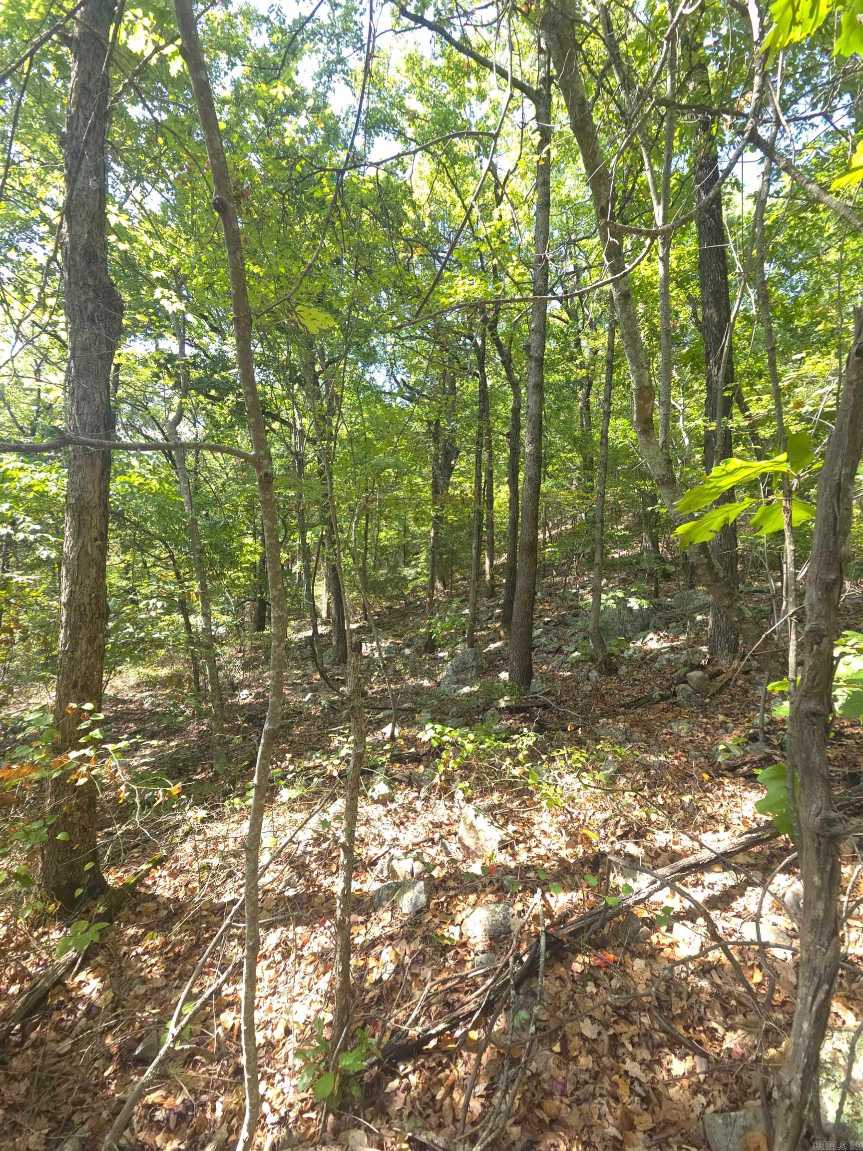 Tbd Diamond Rose Lane Property Photo 40