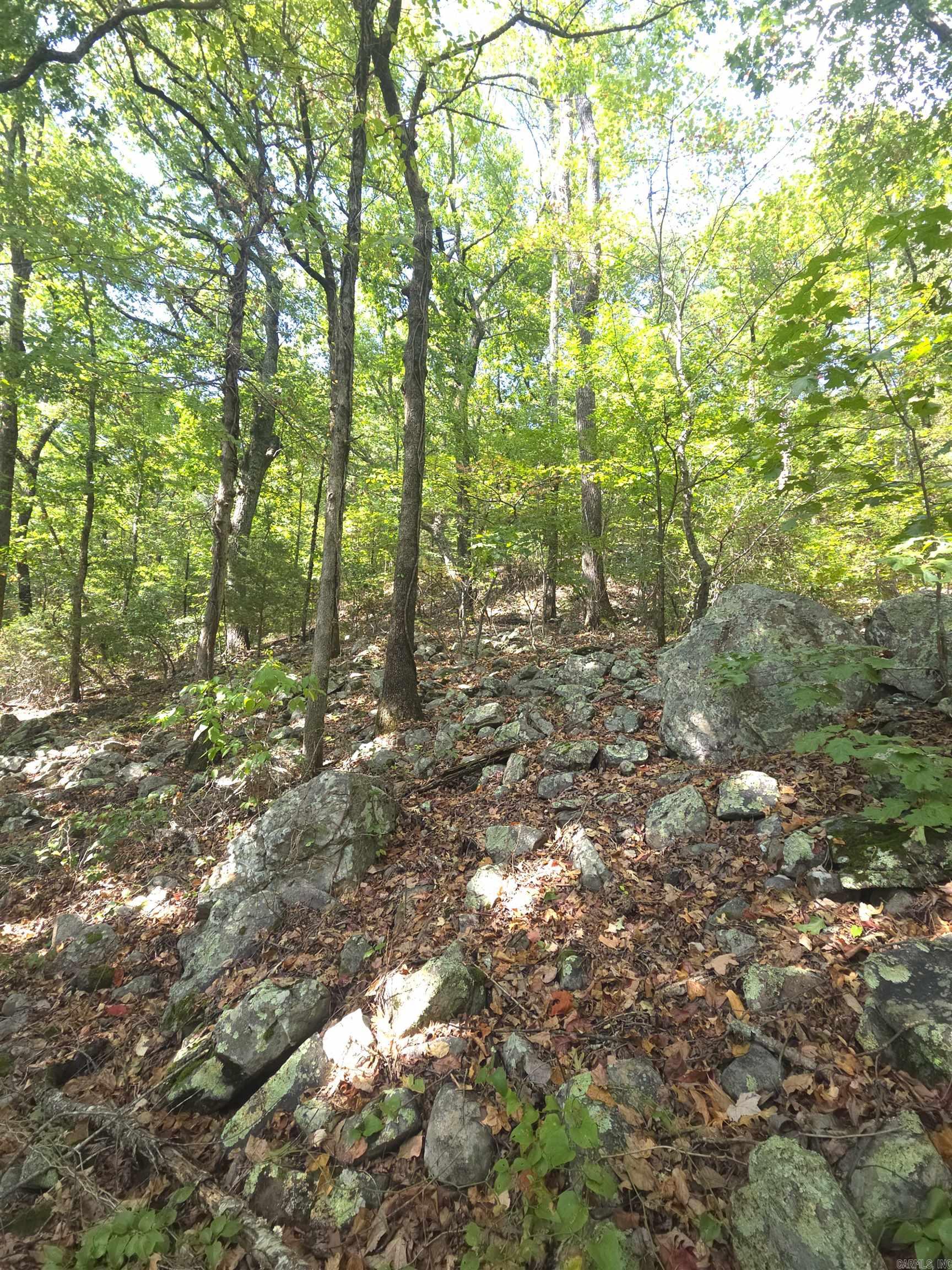 Tbd Diamond Rose Lane Property Photo 41