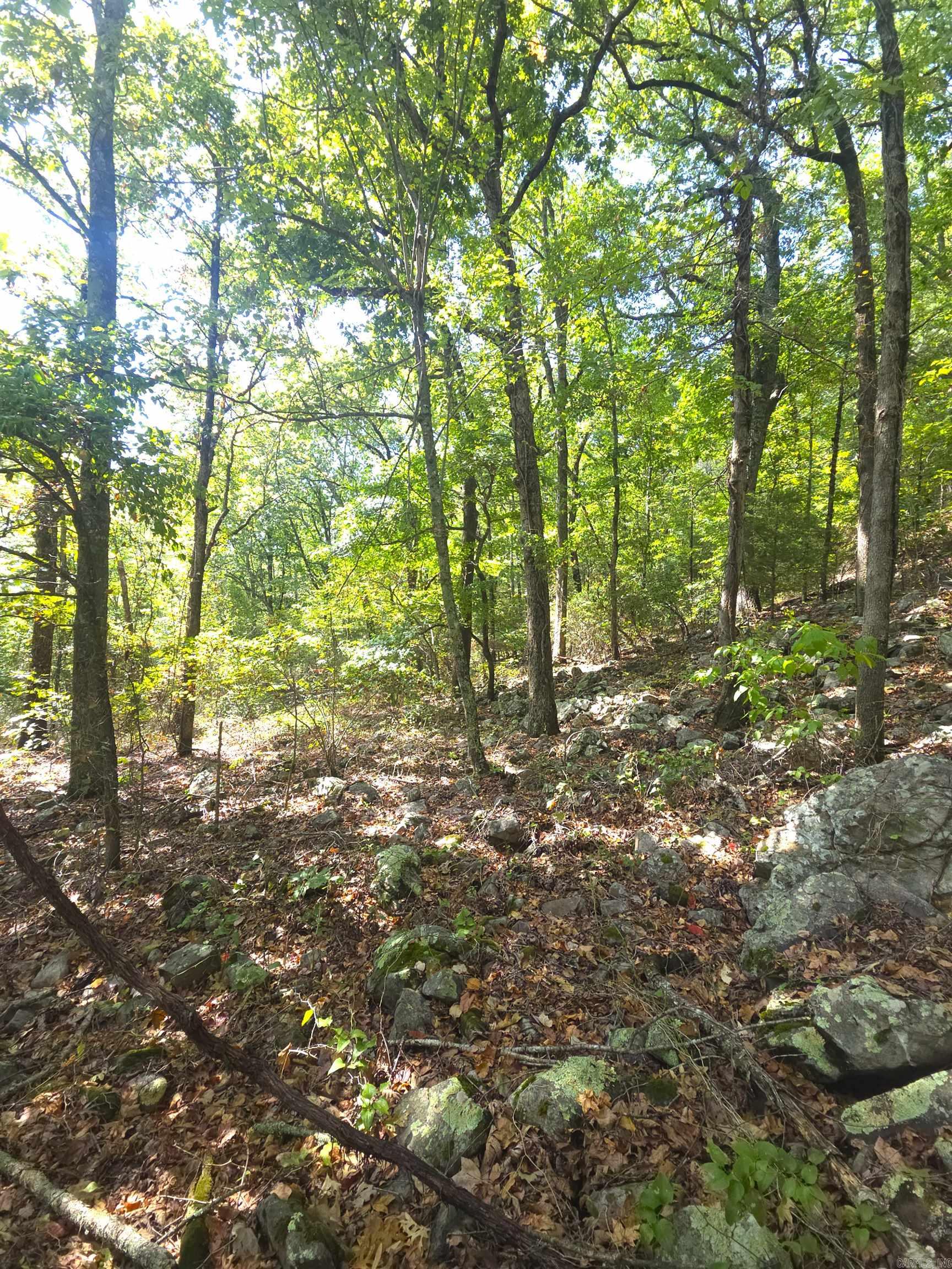 Tbd Diamond Rose Lane Property Photo 42