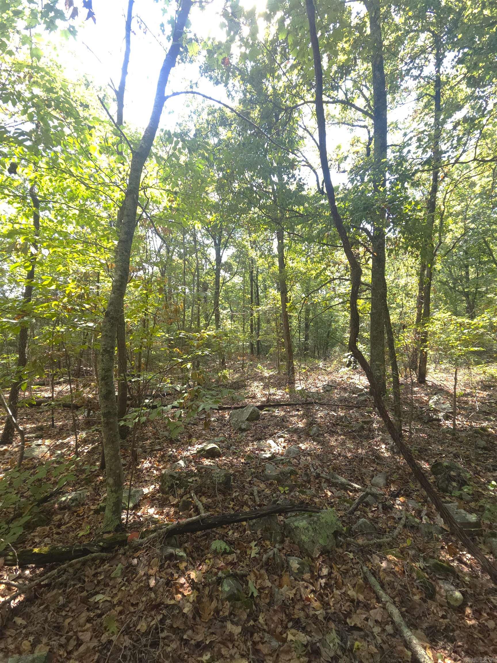 Tbd Diamond Rose Lane Property Photo 43