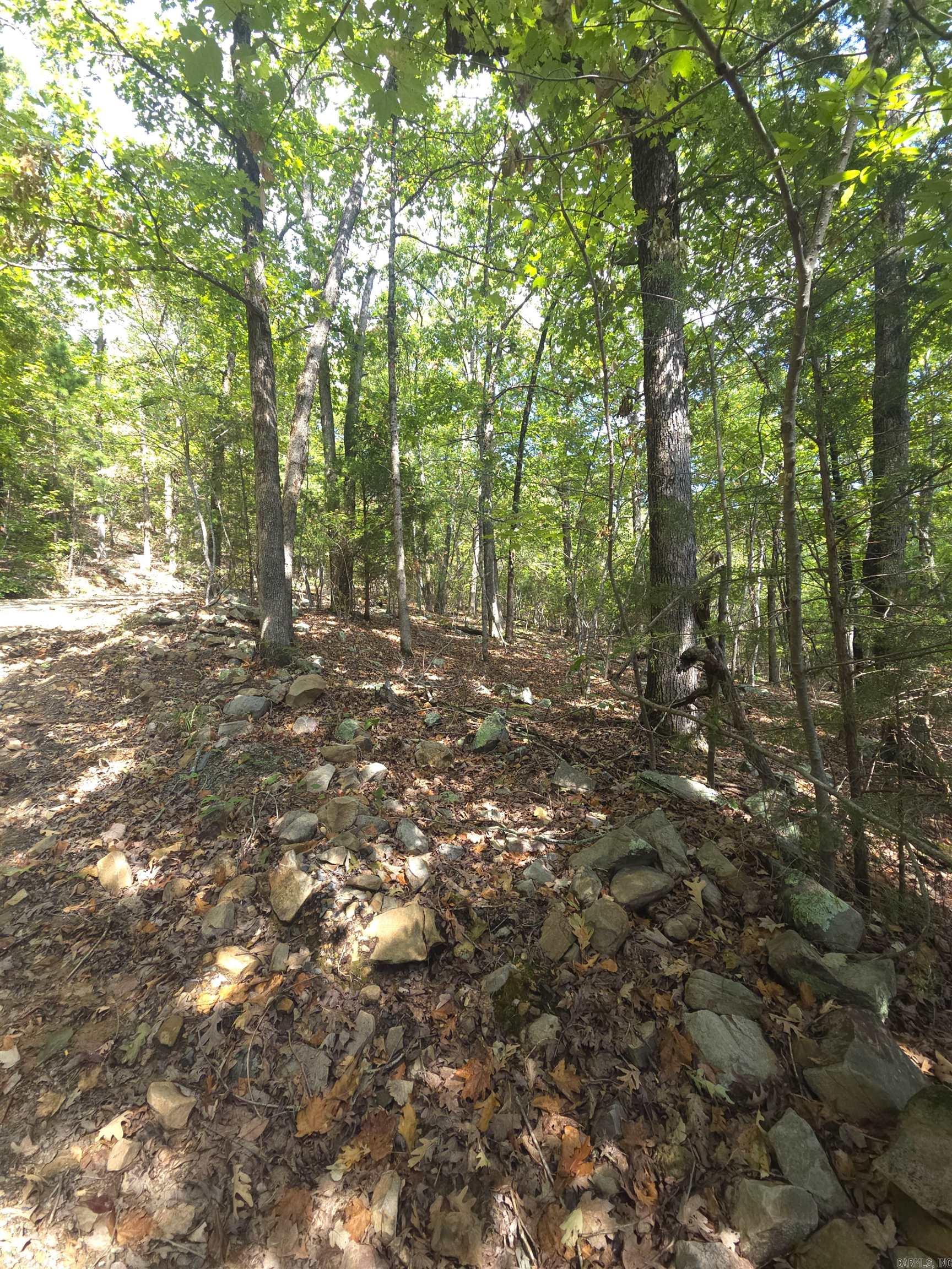 Tbd Diamond Rose Lane Property Photo 44