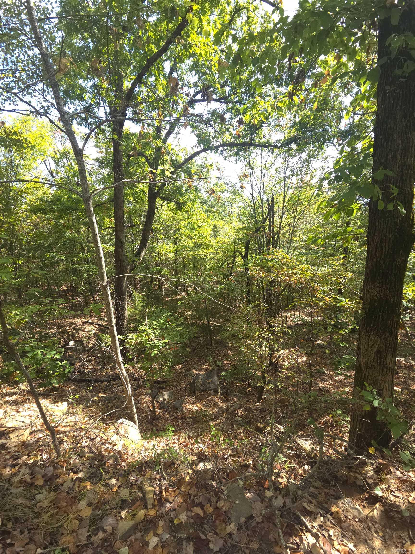 Tbd Diamond Rose Lane Property Photo 46