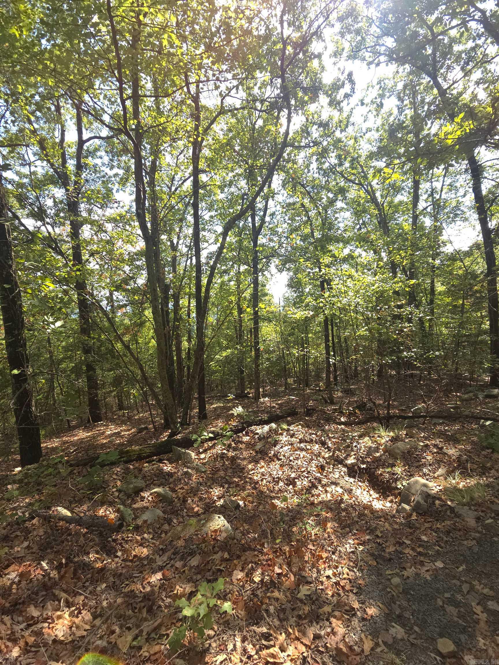 Tbd Diamond Rose Lane Property Photo 47