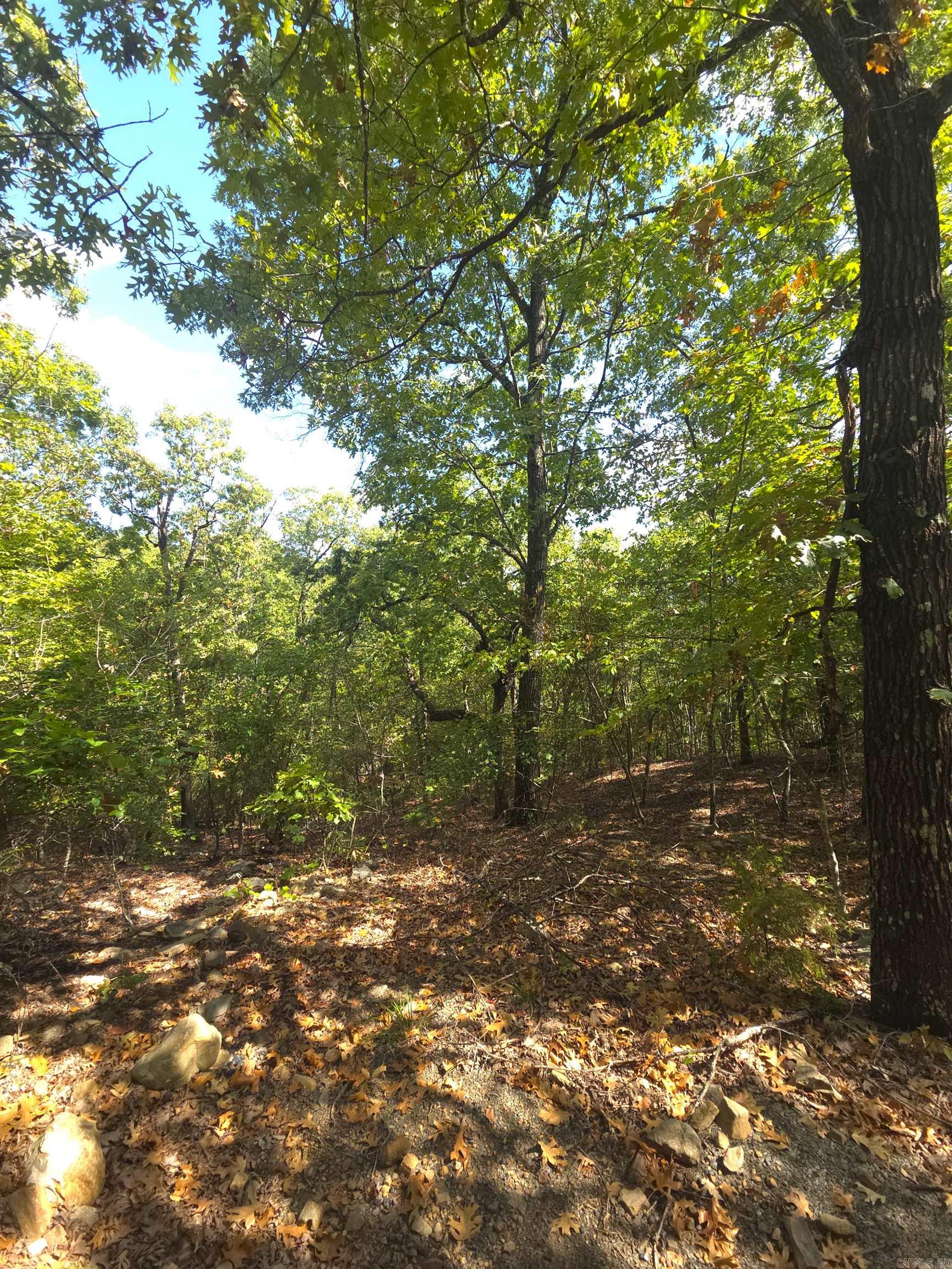 Tbd Diamond Rose Lane Property Photo 48