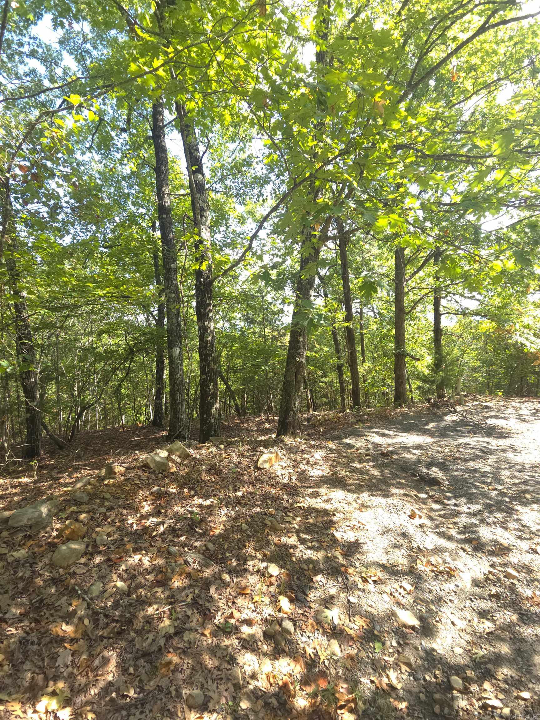 Tbd Diamond Rose Lane Property Photo 49