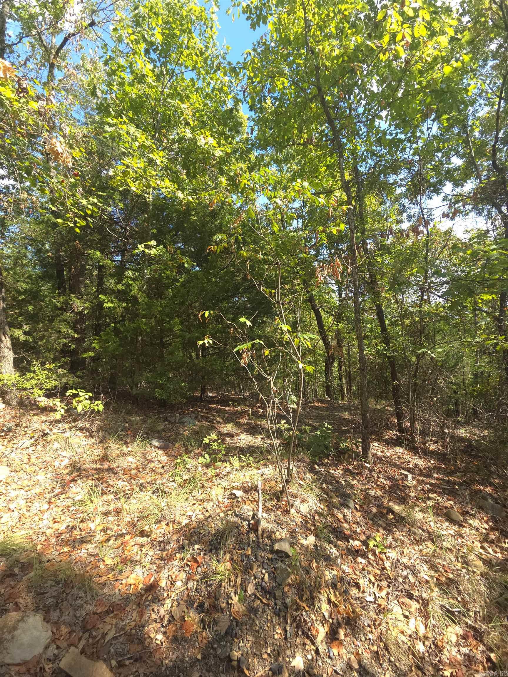 Tbd Diamond Rose Lane Property Photo 50