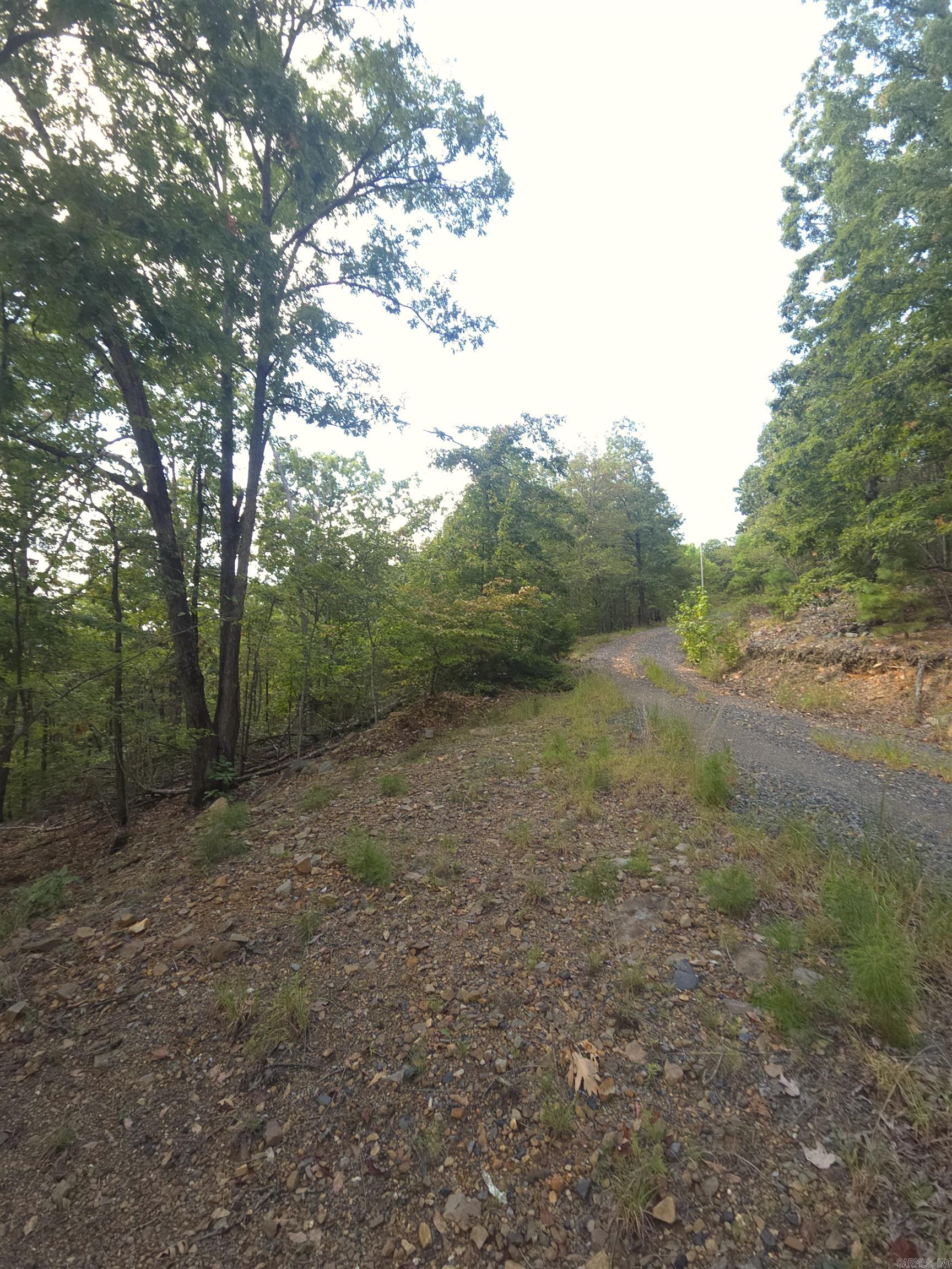 Tbd Shanendoah Lane Property Photo 2