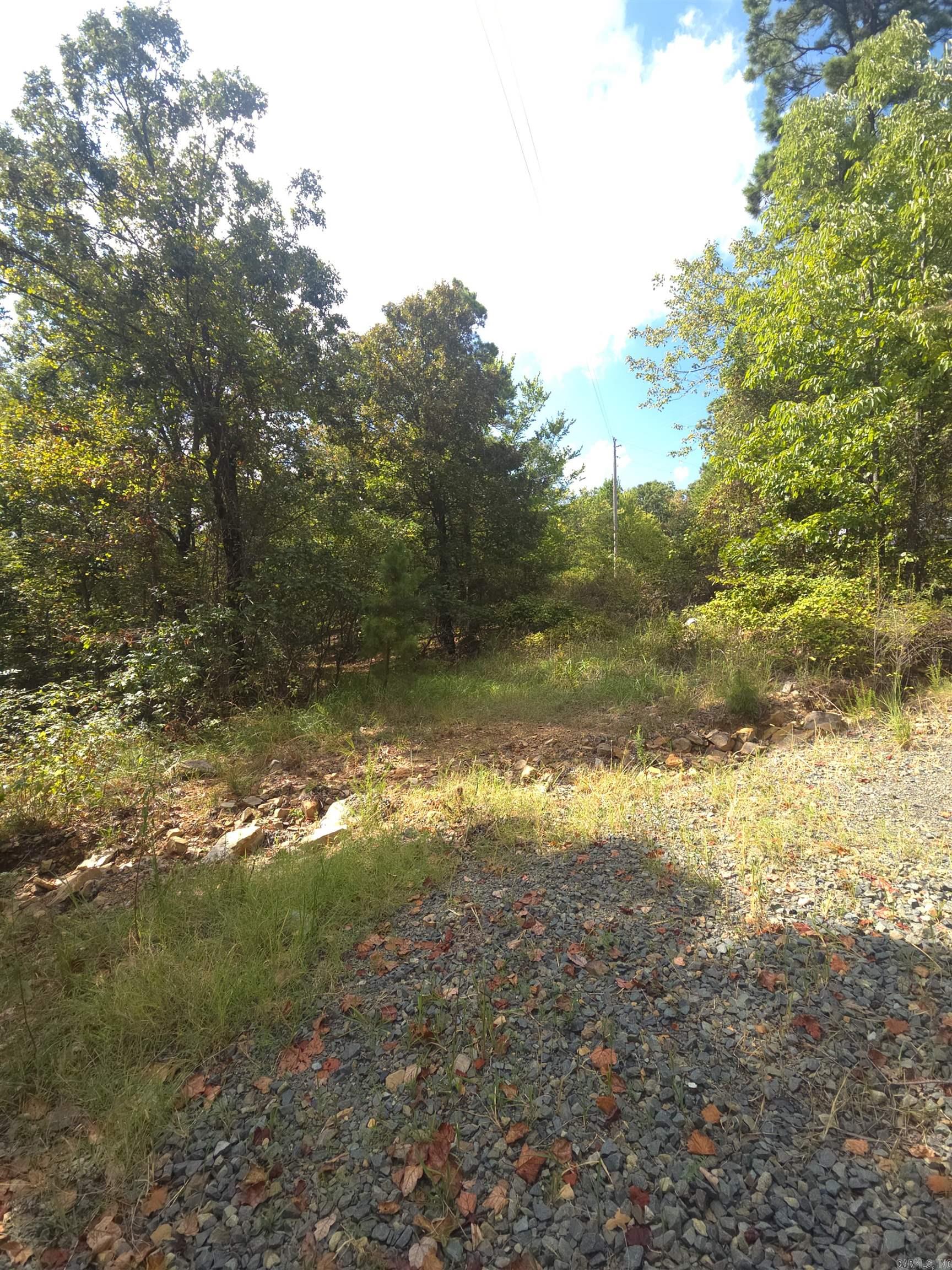 Tbd Shanendoah Lane Property Photo 3