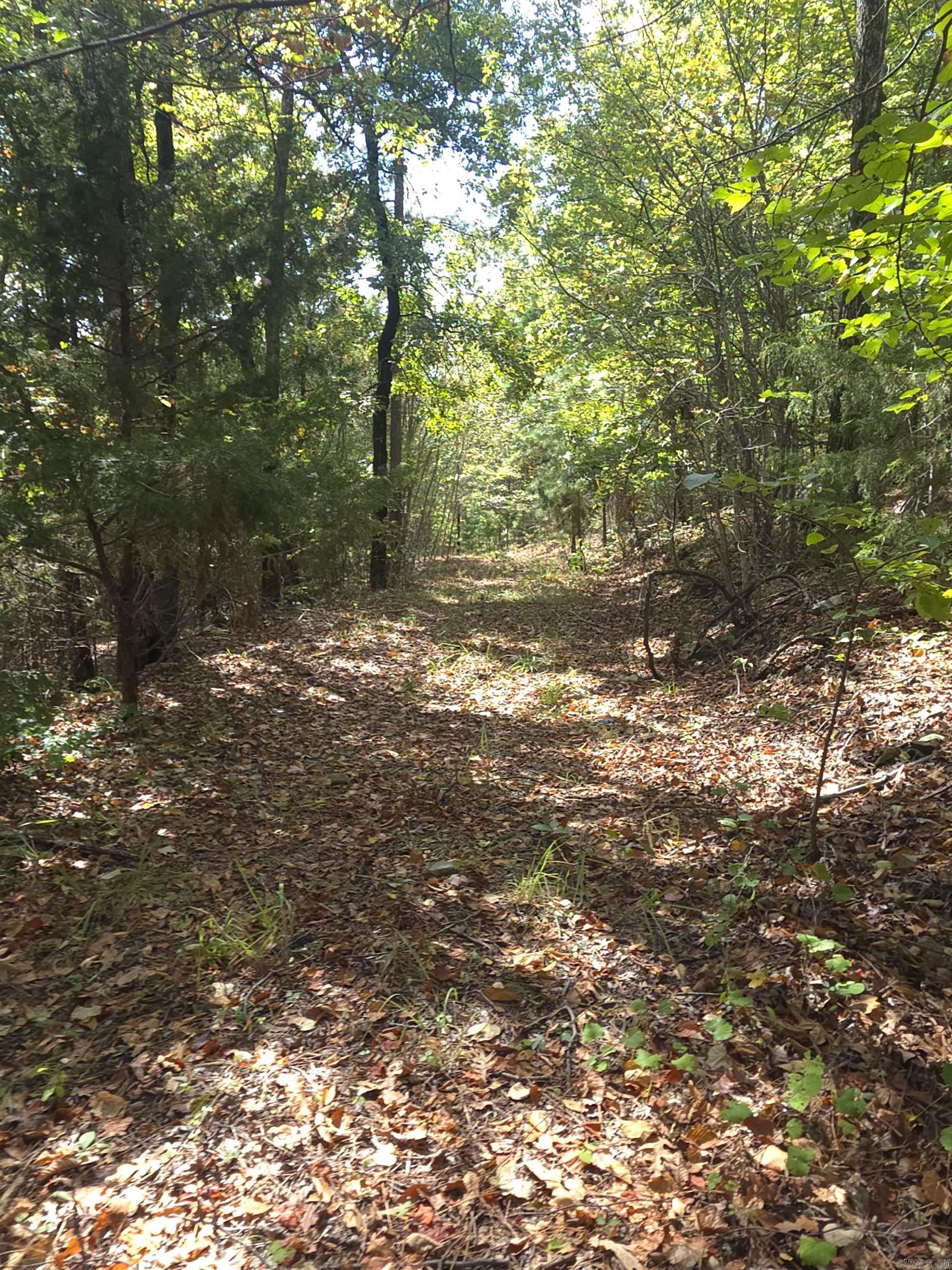 Tbd Shanendoah Lane Property Photo 4