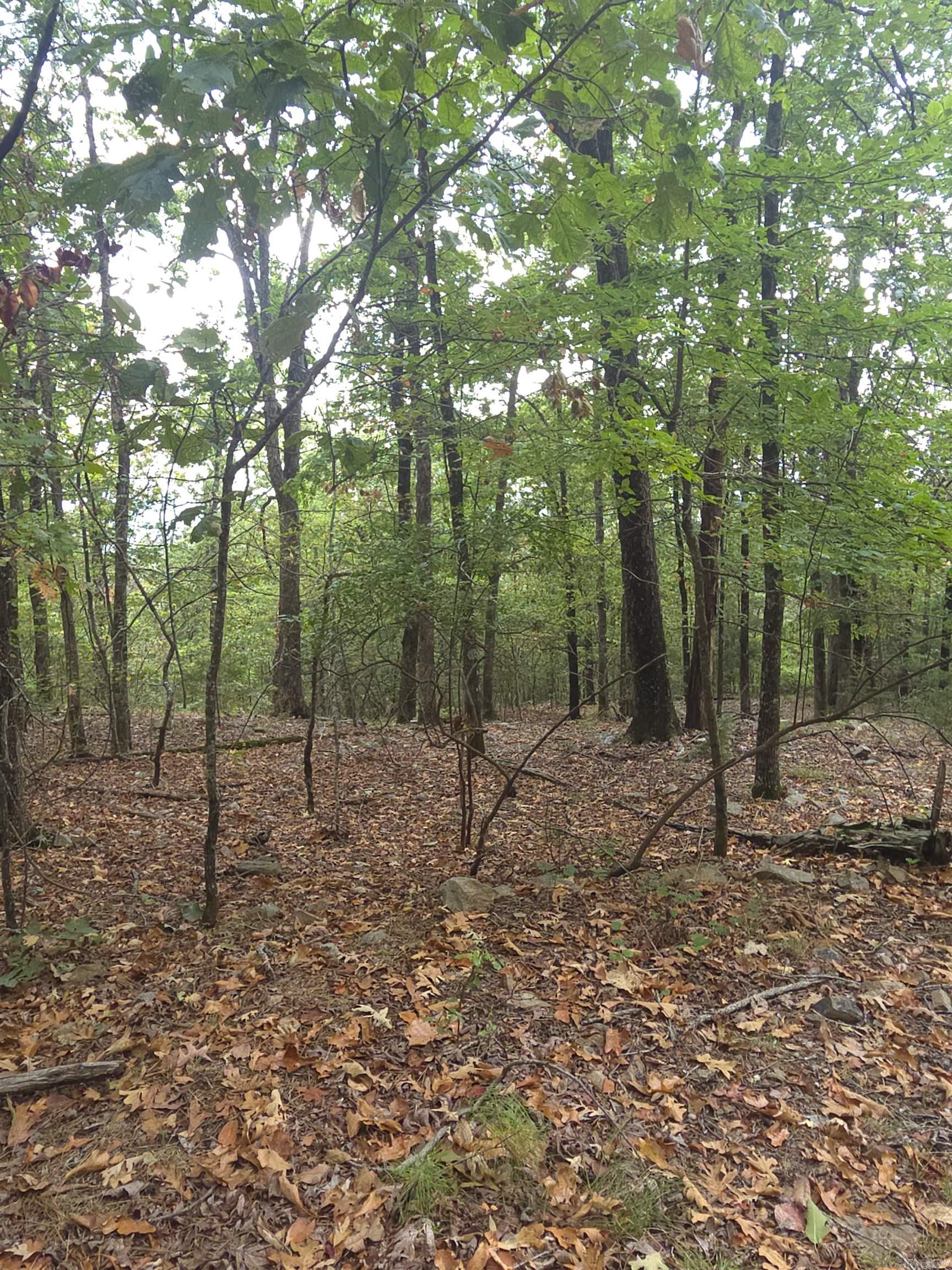 Tbd Shanendoah Lane Property Photo 5
