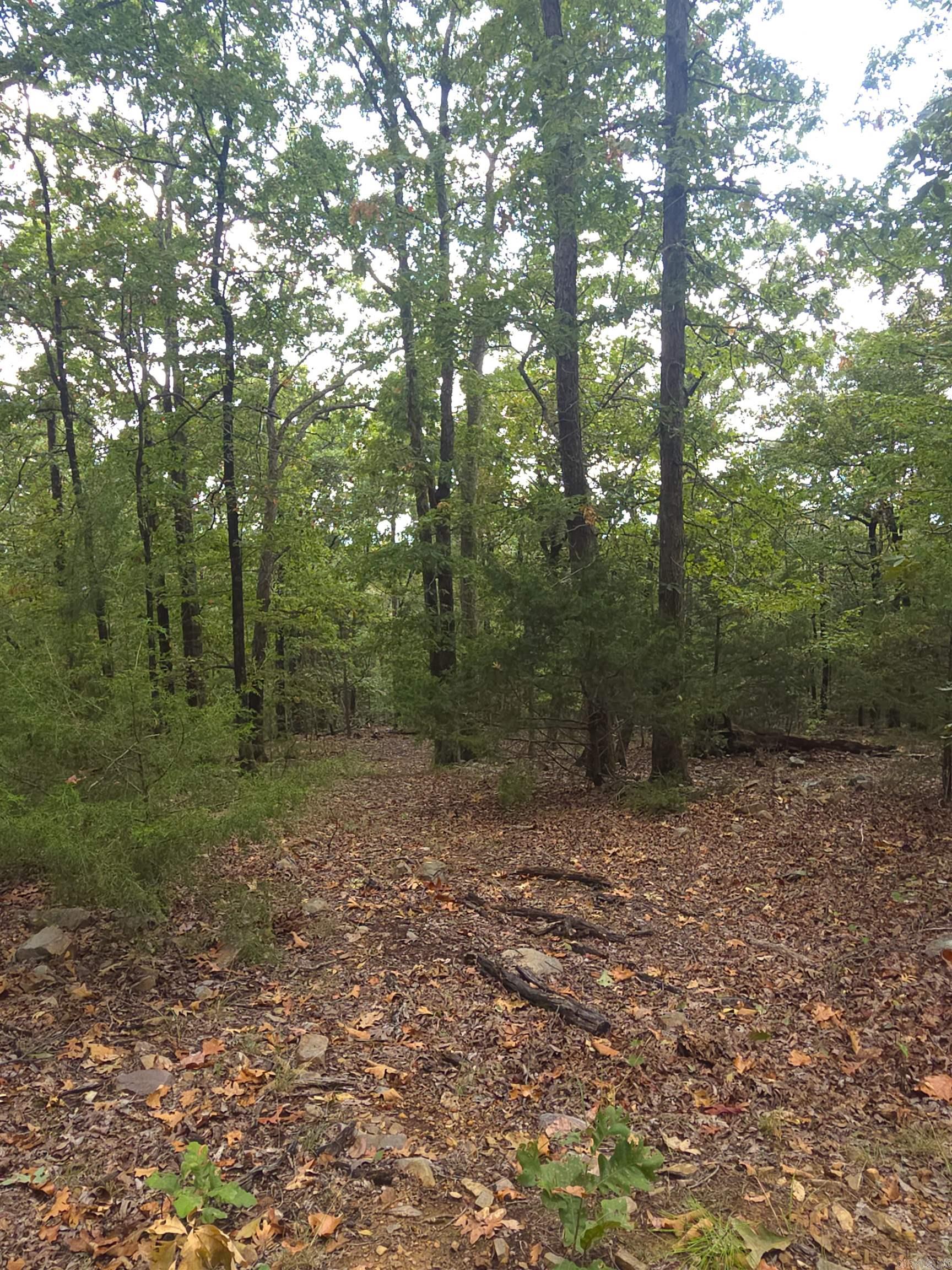 Tbd Shanendoah Lane Property Photo 6
