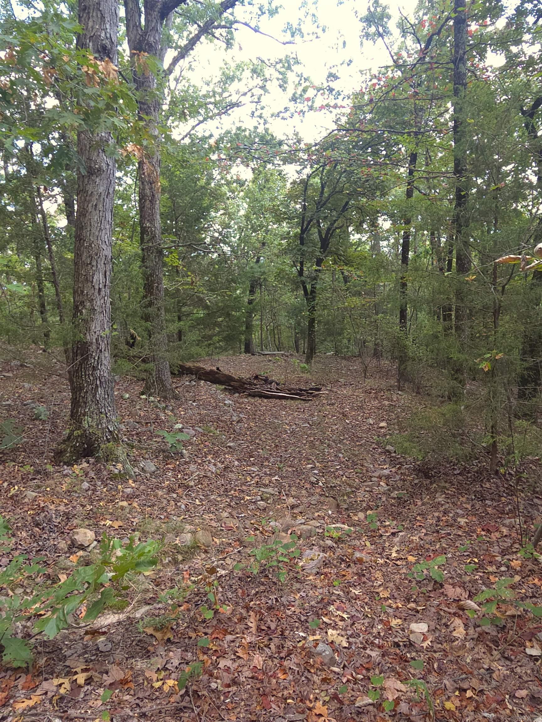Tbd Shanendoah Lane Property Photo 7