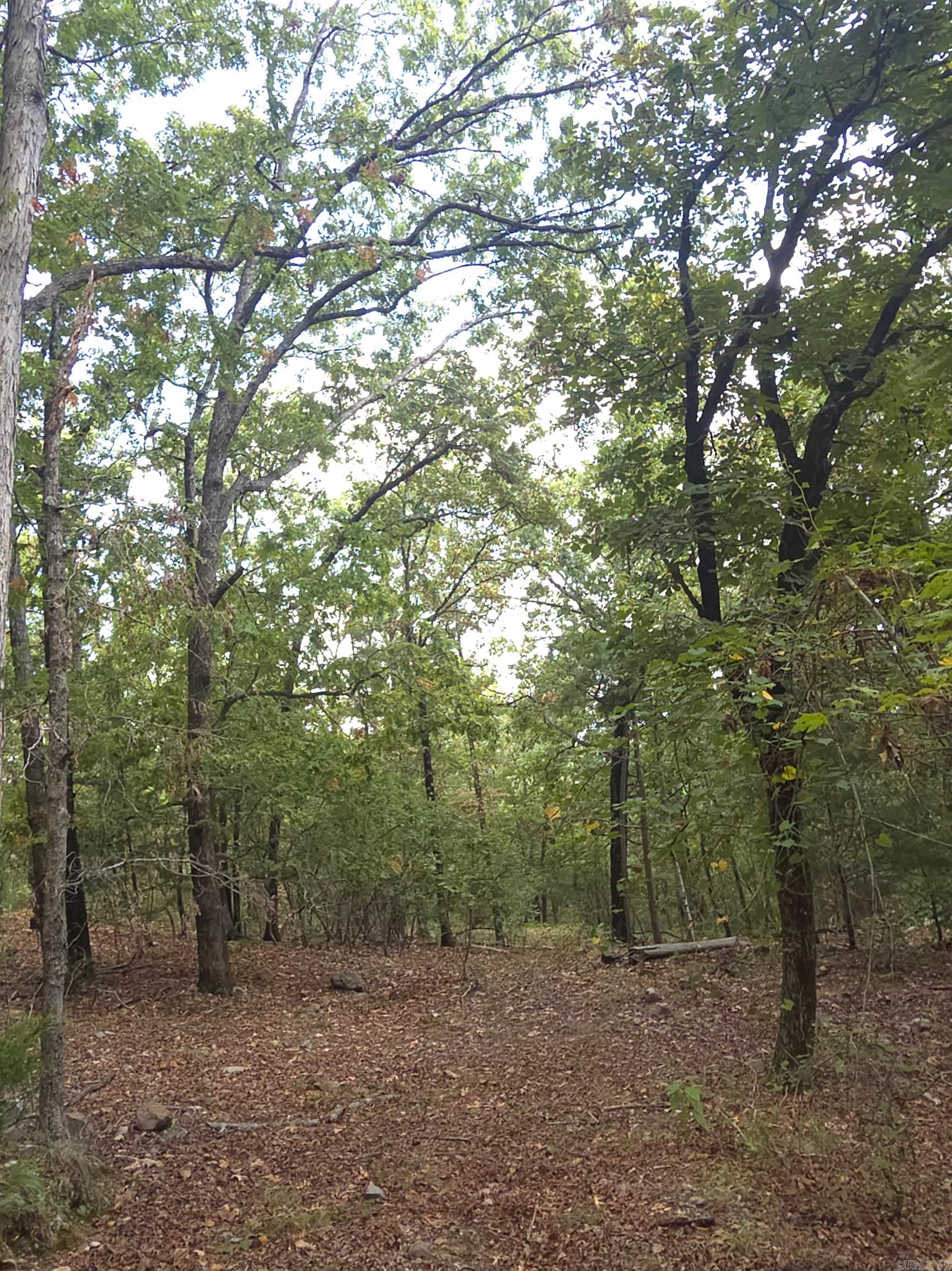 Tbd Shanendoah Lane Property Photo 8