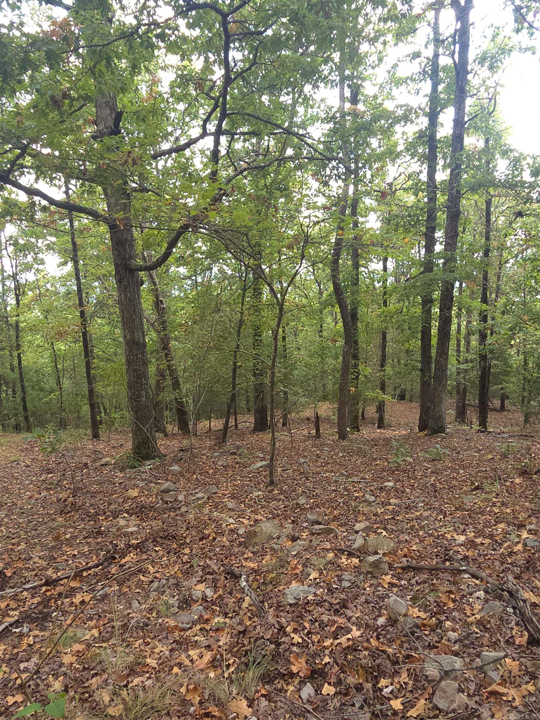 Tbd Shanendoah Lane Property Photo 9