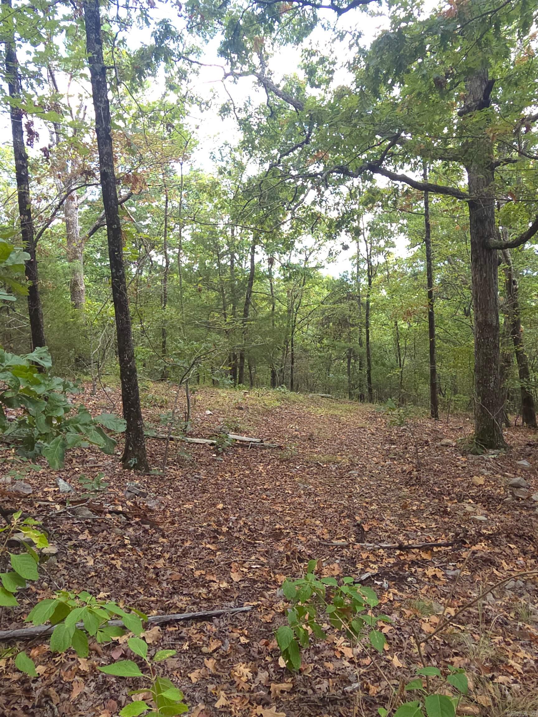 Tbd Shanendoah Lane Property Photo 10