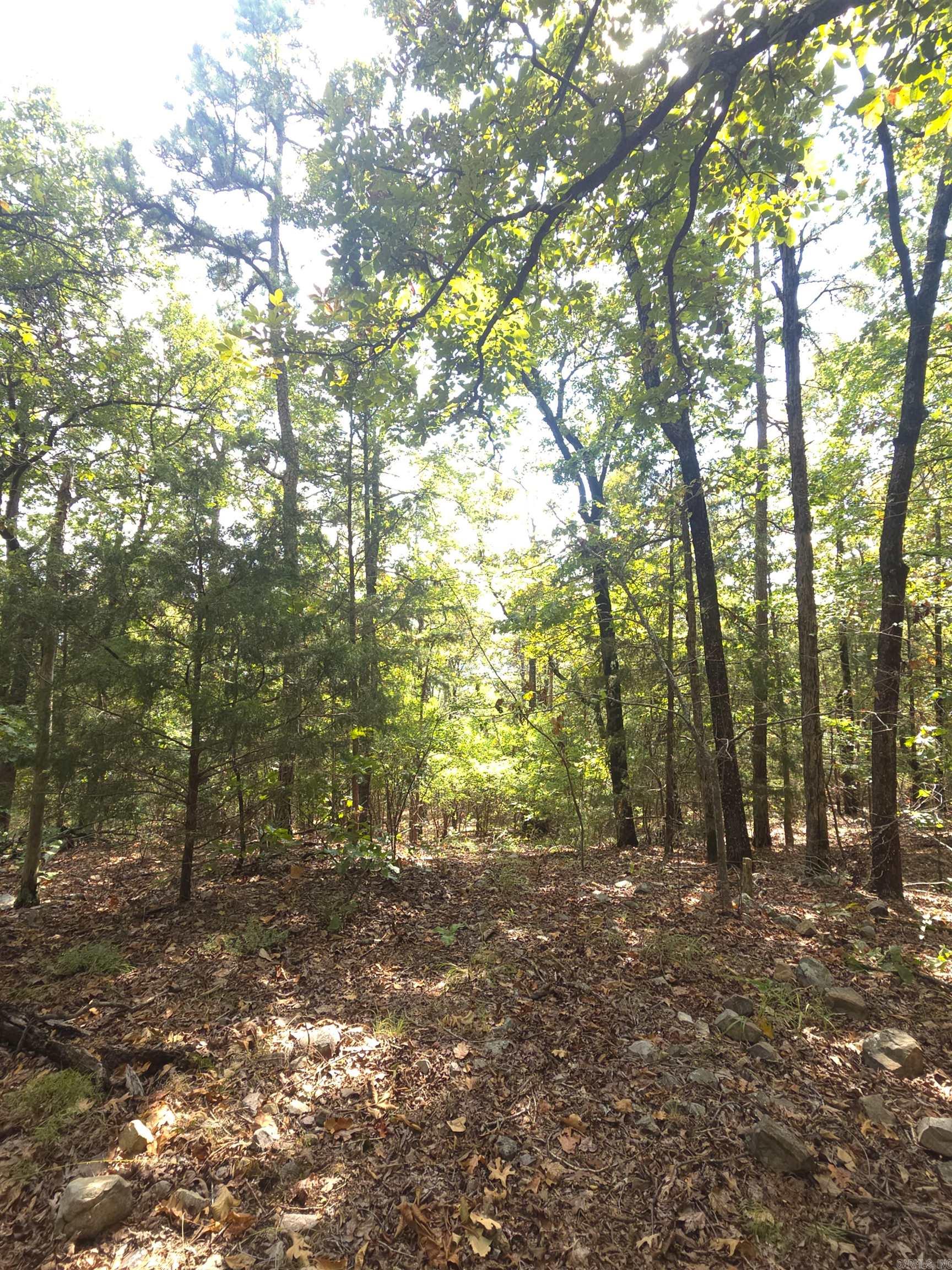 Tbd Shanendoah Lane Property Photo 11