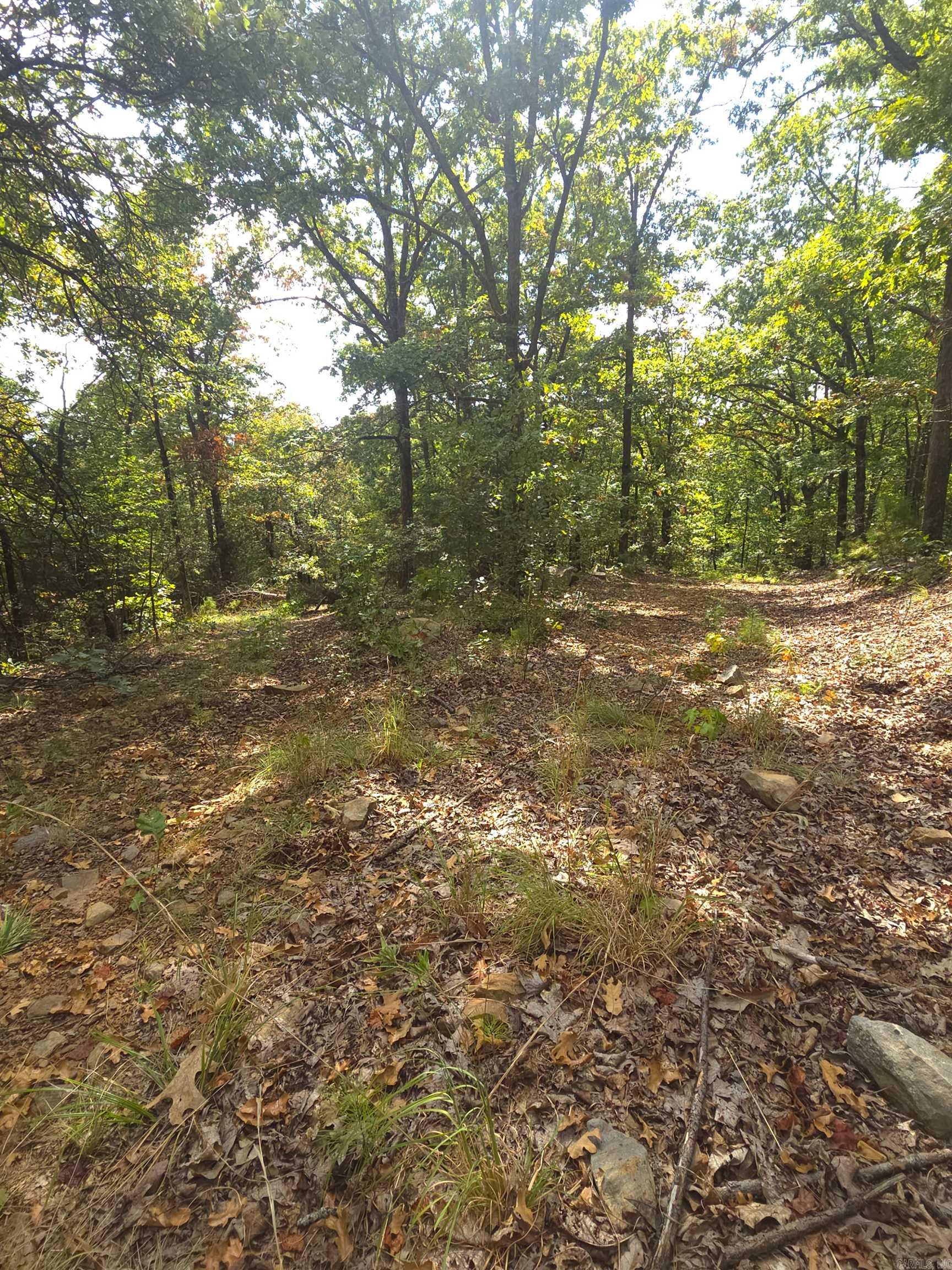 Tbd Shanendoah Lane Property Photo 12