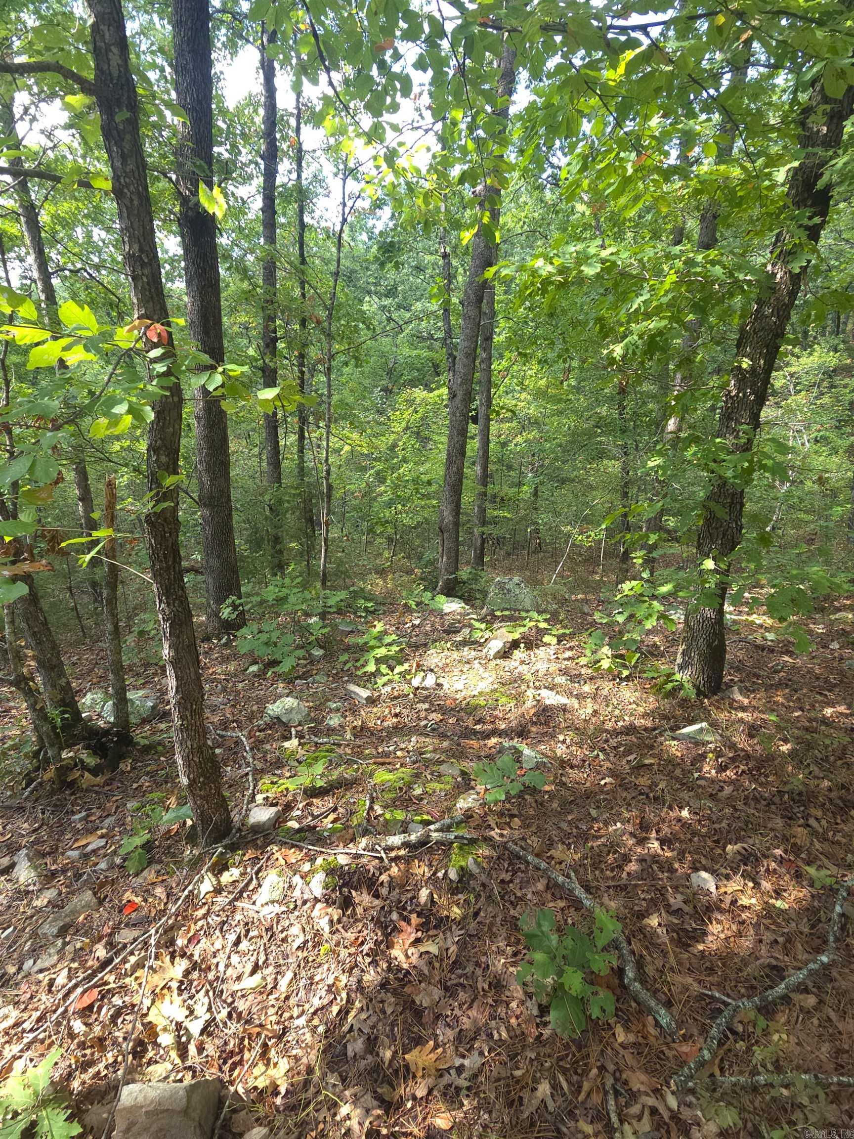 Tbd Shanendoah Lane Property Photo 13
